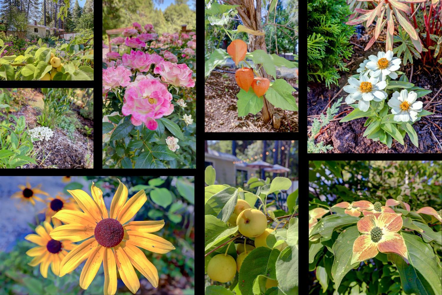 Nevada City, California, 95959, United States, 2 Bedrooms Bedrooms, ,1 BathroomBathrooms,Residential,For Sale,1982930