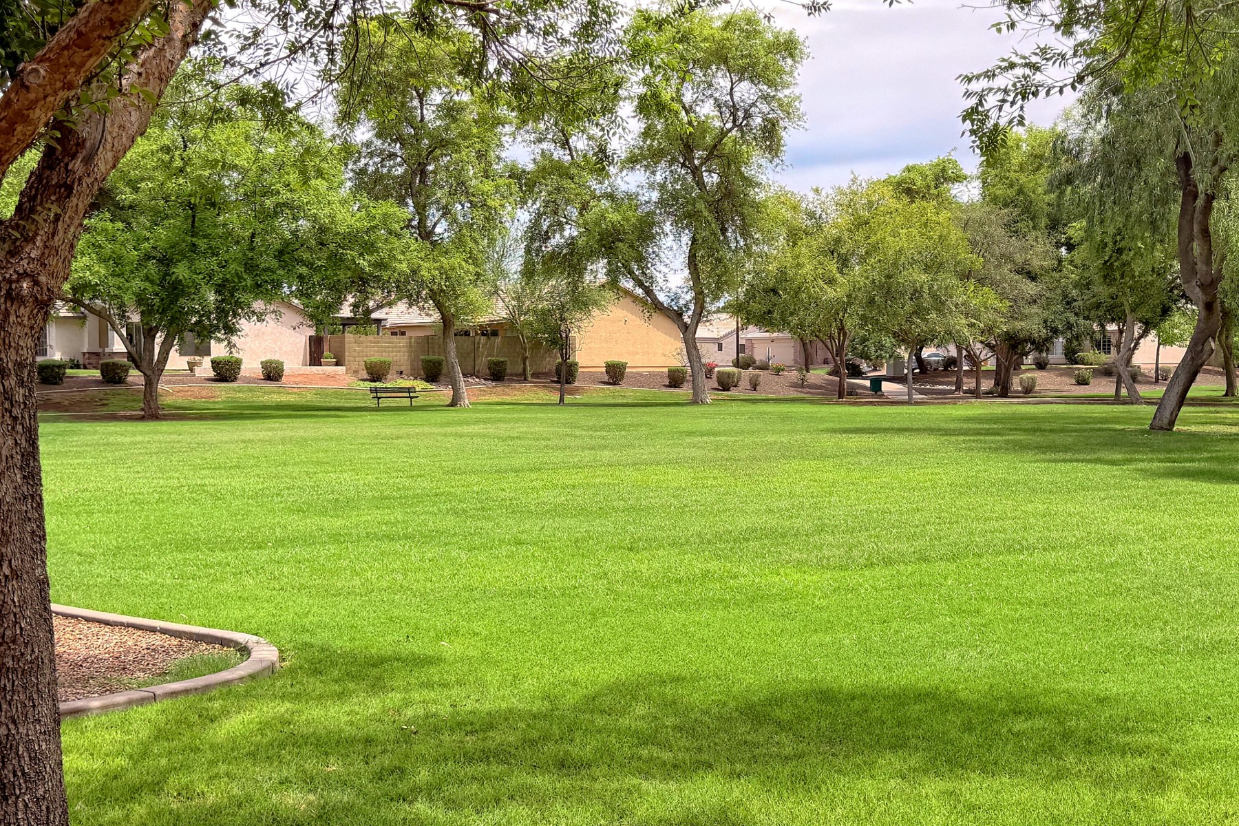  2348 E Stottler Drive¦Gilbert, AZ - 物件實景