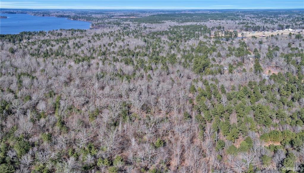 Benton, Louisiana, 71006, United States, ,Land,For Sale,2001965