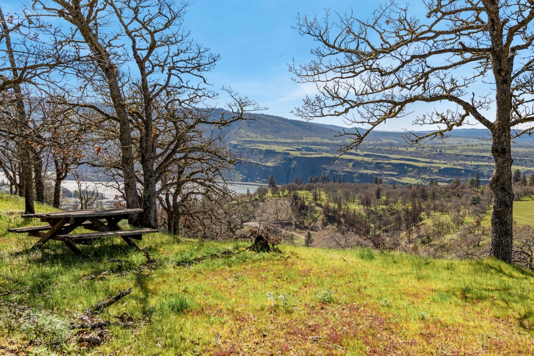  10 CANYON RD Lyle, WA 98635 - 物件實景