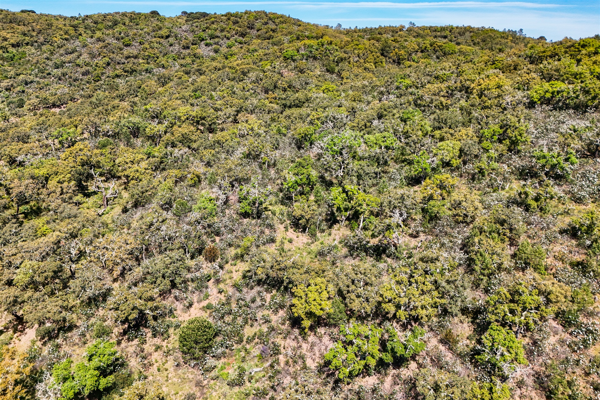  Real estate land for Sale - 物件實景