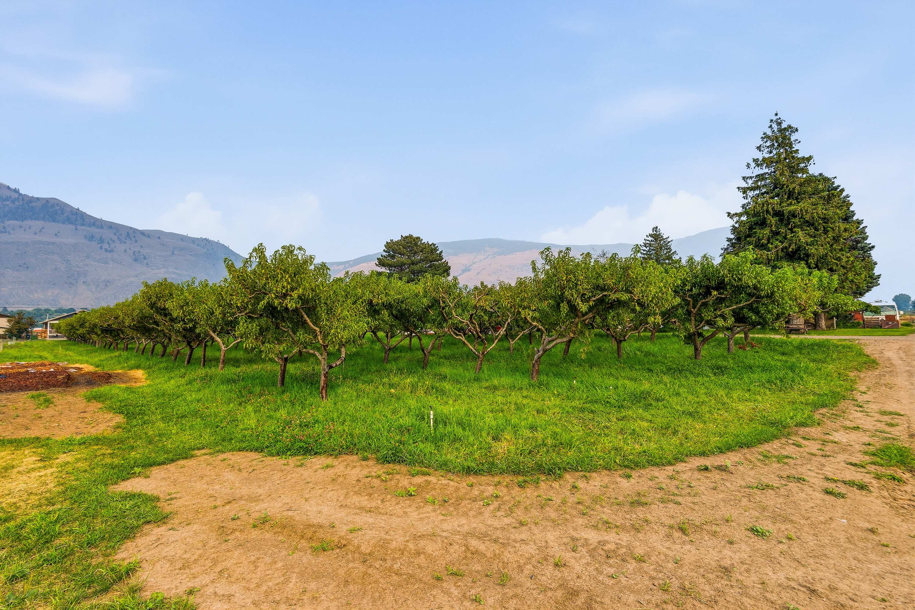  Home on an Organic Farm - 物件實景