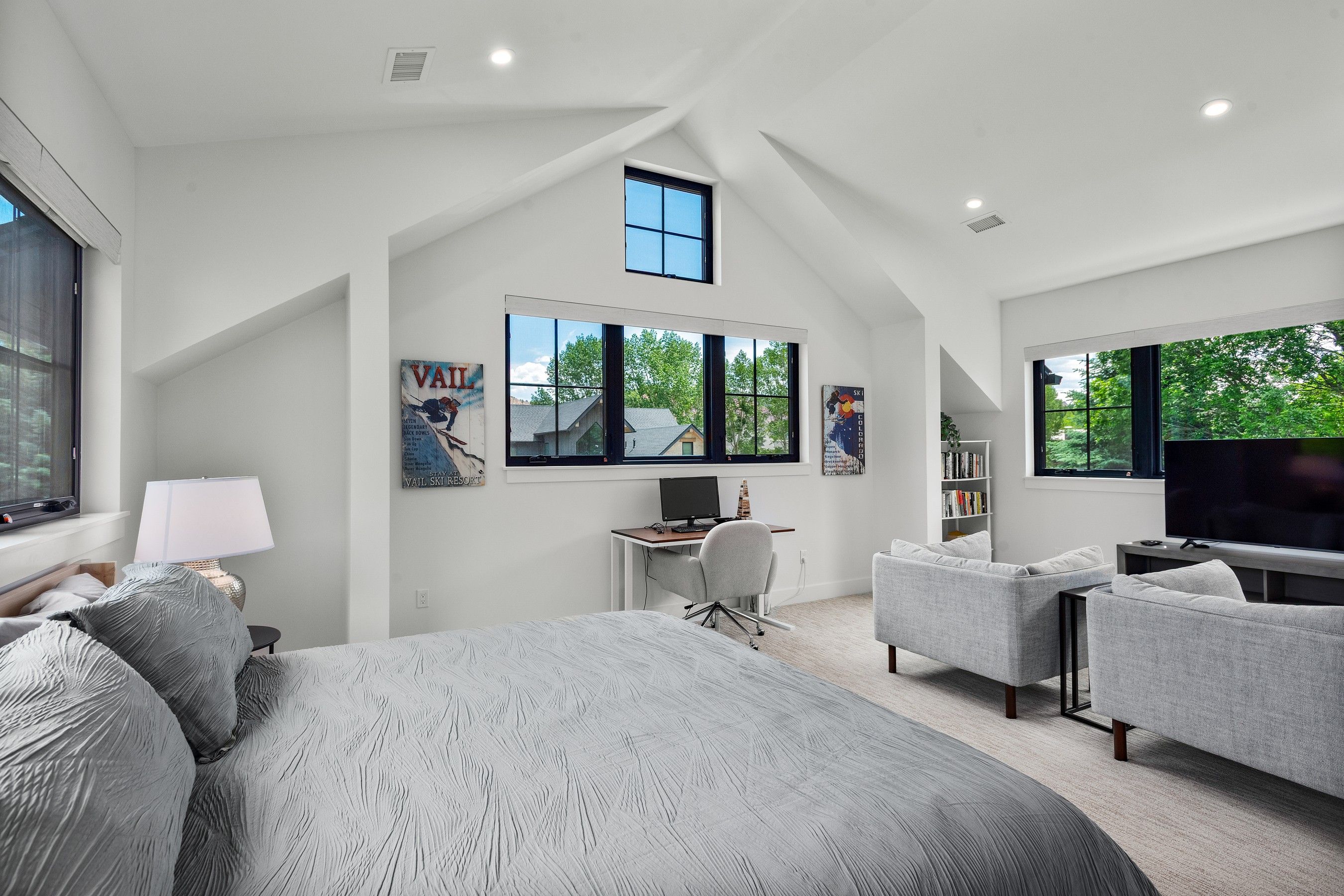  303 Golden Bear Drive, Carbondale, CO 81623 - 物件實景