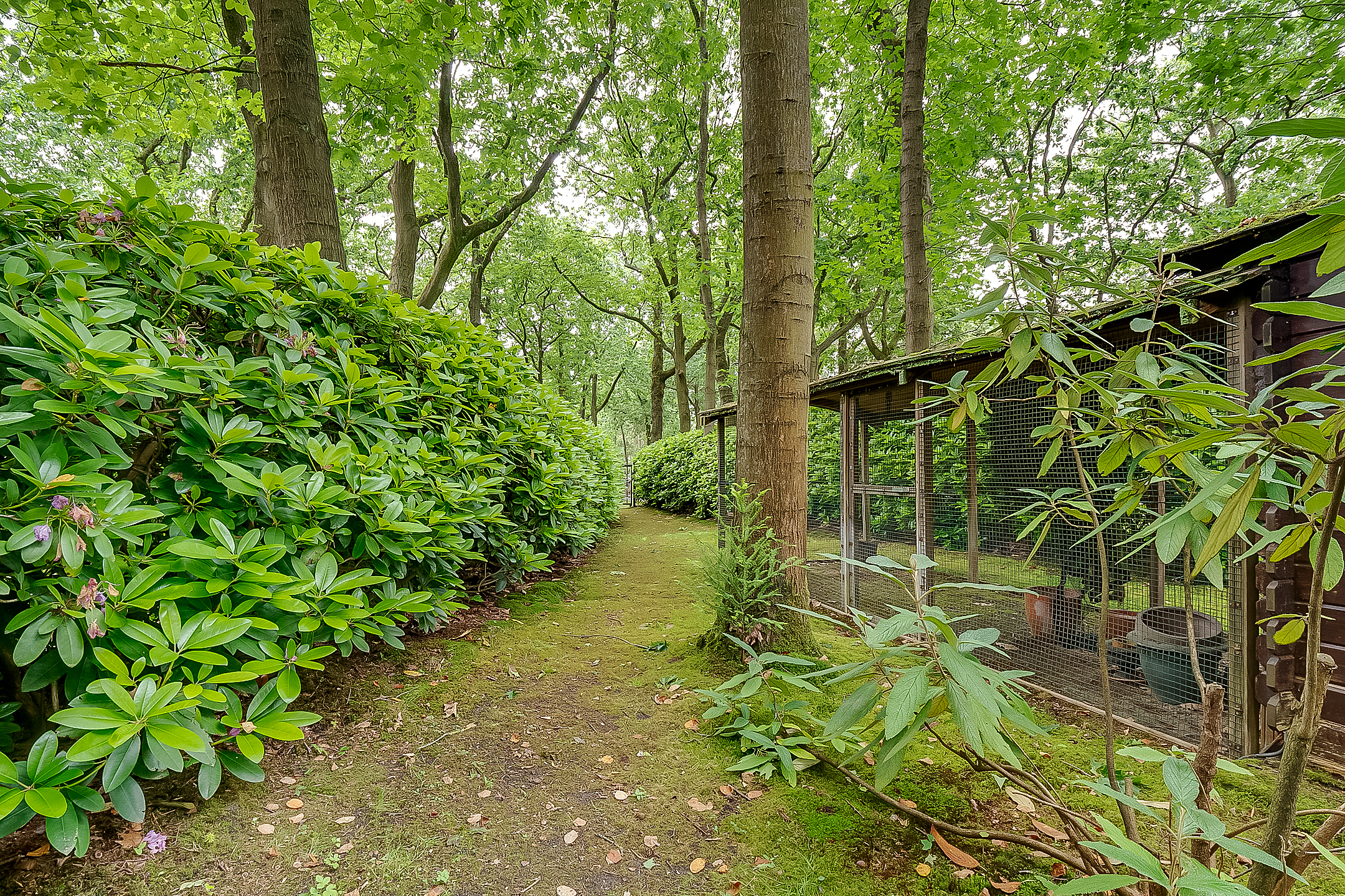  Villa Tolhuislaan - 物件實景