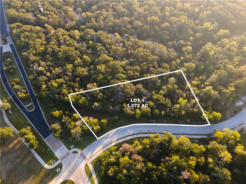 Bryan, Texas, 77807, United States, ,Land,For Sale,1933338