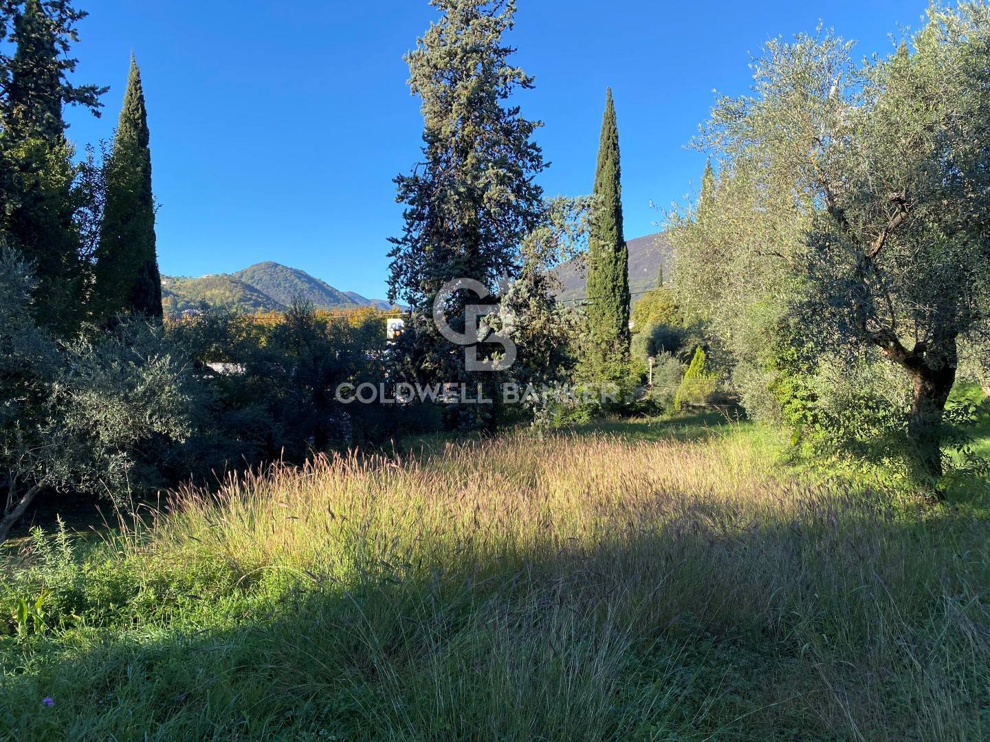 Viale dei Colli, Salò, Brescia, 25087, IT, 5 Bedrooms Bedrooms, ,4 BathroomsBathrooms,Residential,For Sale,Viale dei Colli,1612716