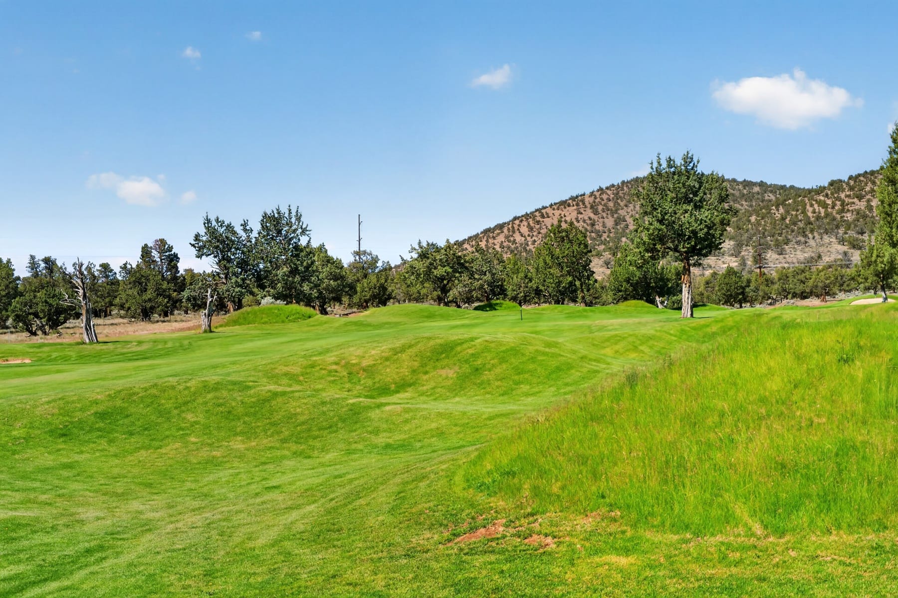  8778 Cliff Swallow Drive Redmond, OR 97756 - 物件實景