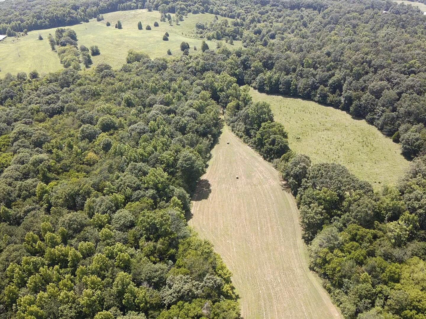 Bryant, Alabama, 35958, United States, ,Land,For Sale,1982684