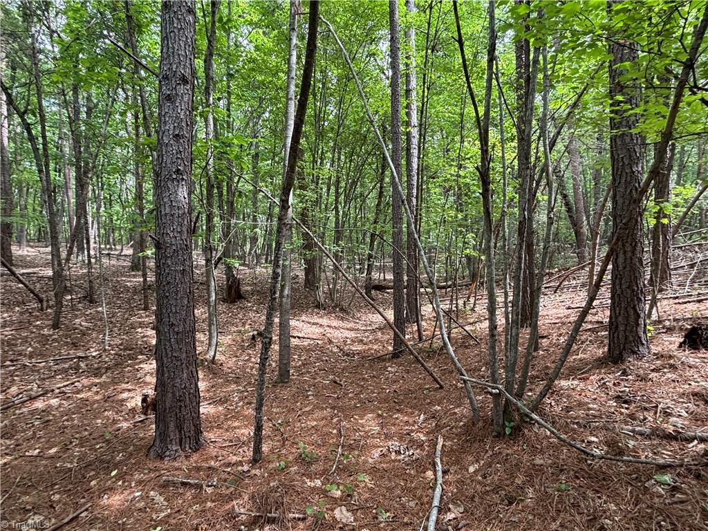 Pinnacle, North Carolina, 27043, United States, ,Land,For Sale,1829534