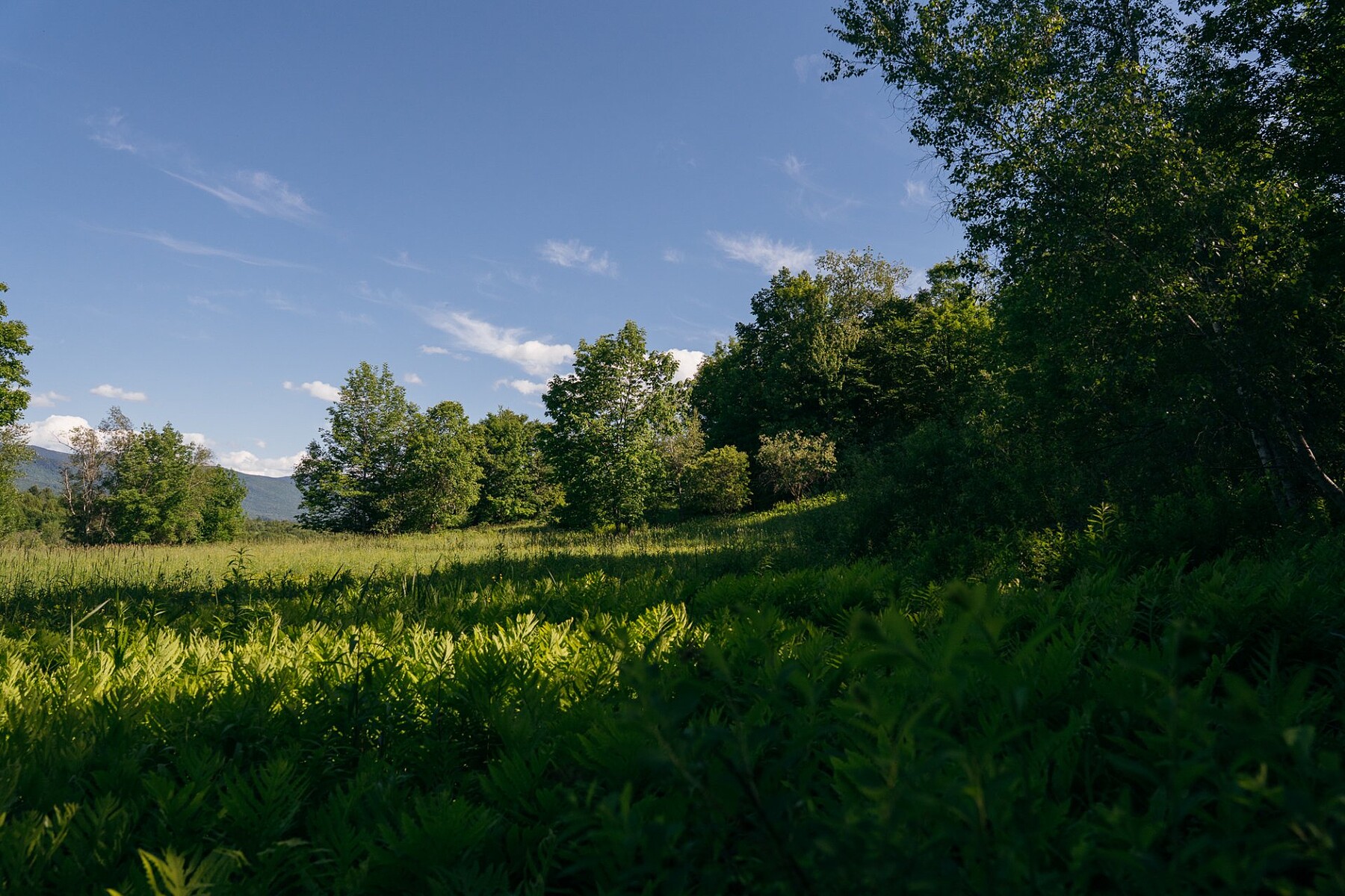  Sutton, Eastern Townships - 物件實景