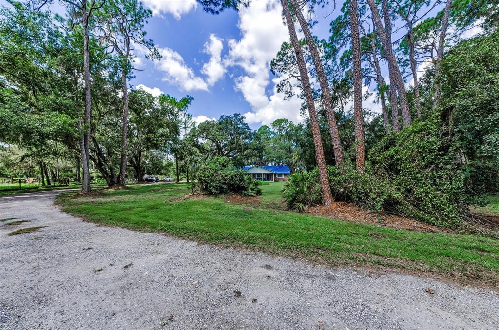 Plant City, Florida, 33566, United States, 3 Bedrooms Bedrooms, ,2 BathroomsBathrooms,Residential,For Sale,1932483