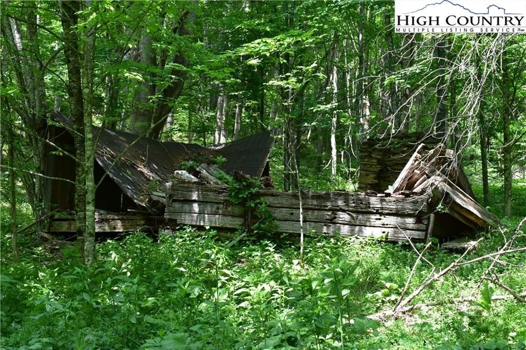 Warrensville, North Carolina, 28693, United States, ,Land,For Sale,1984173