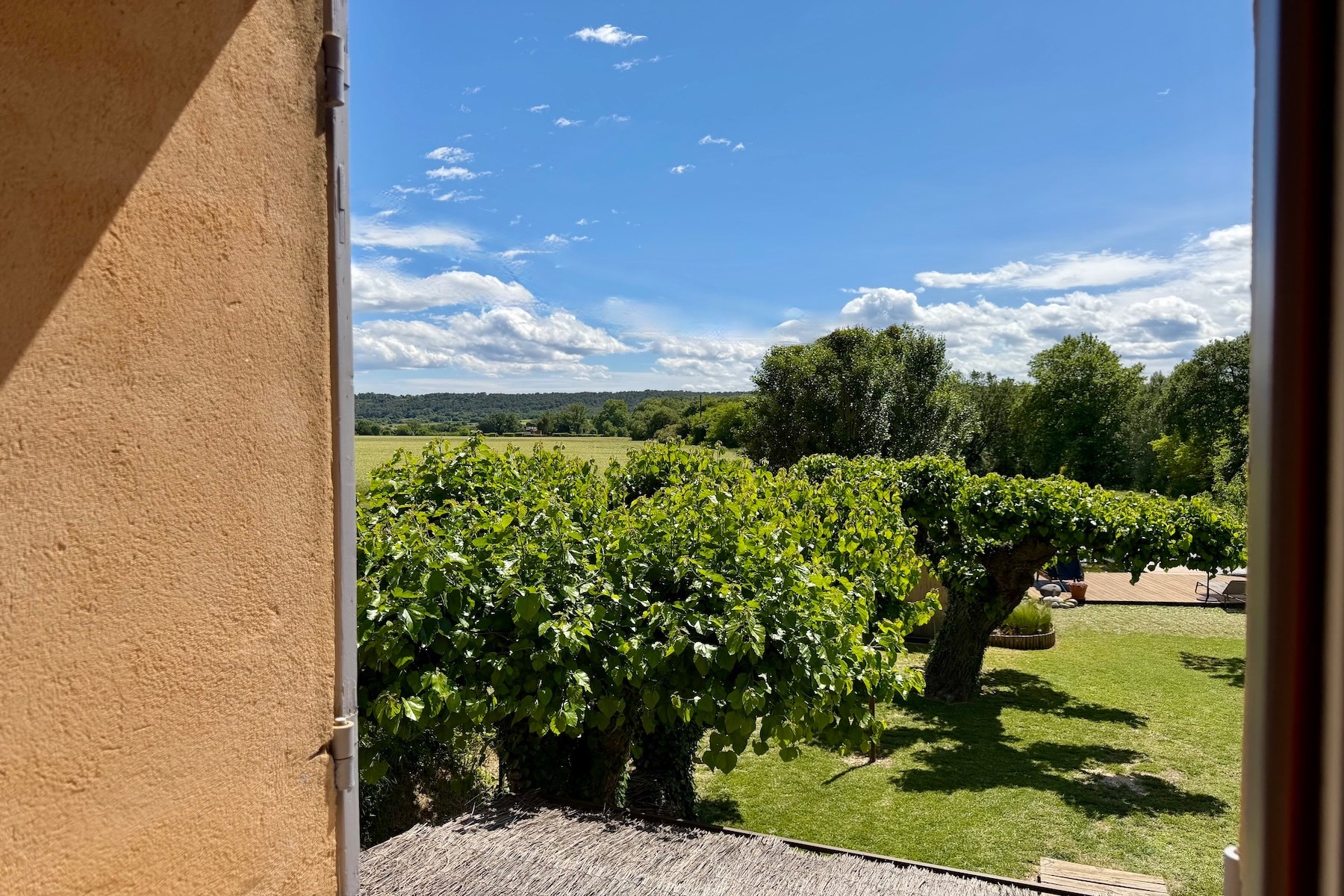  Charming country house with swimming pond and landscaped grounds, 6 km from Uzès - 物件實景