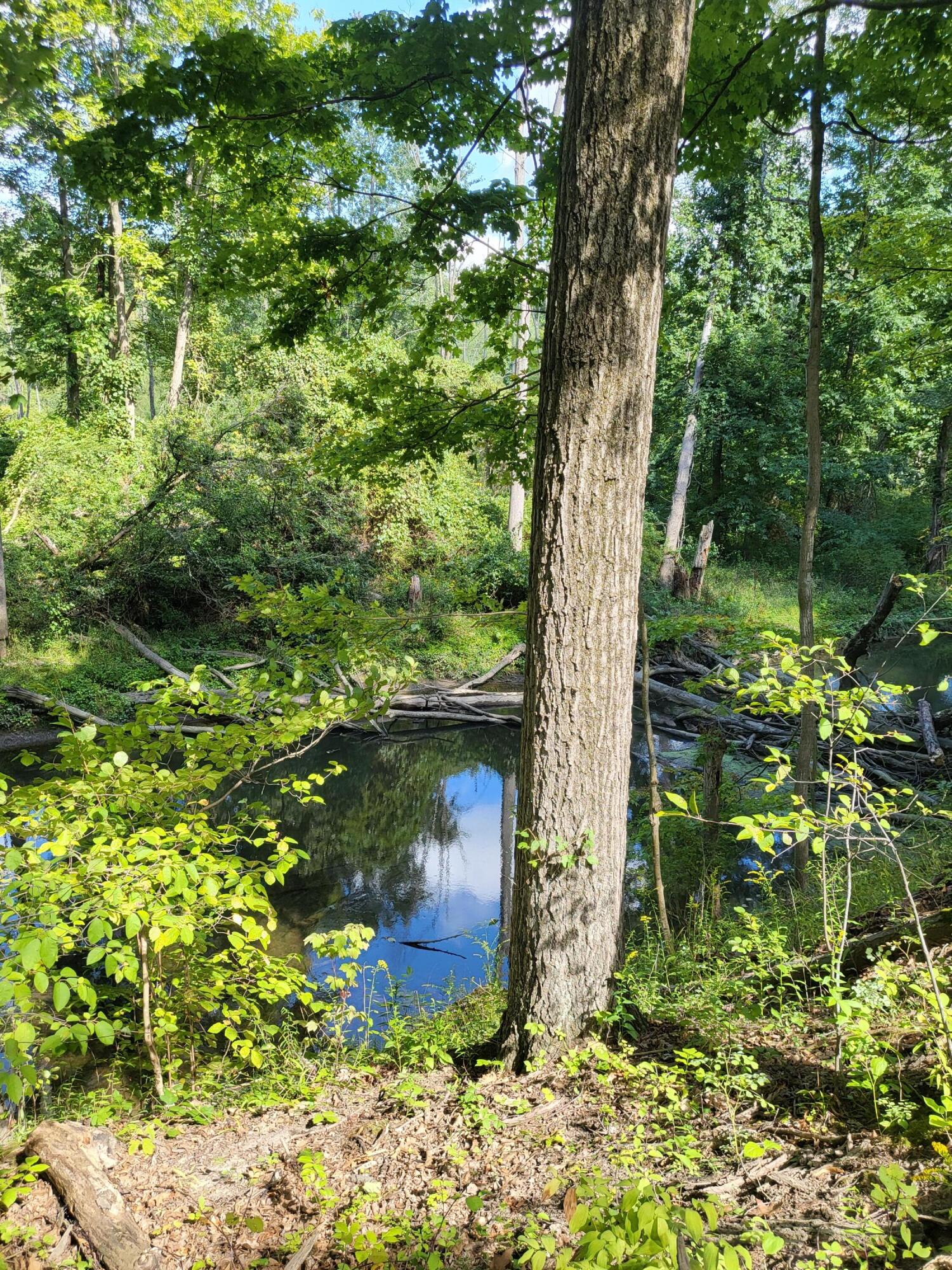 Union Pier, Michigan, 49129, United States, ,Land,For Sale,1988293