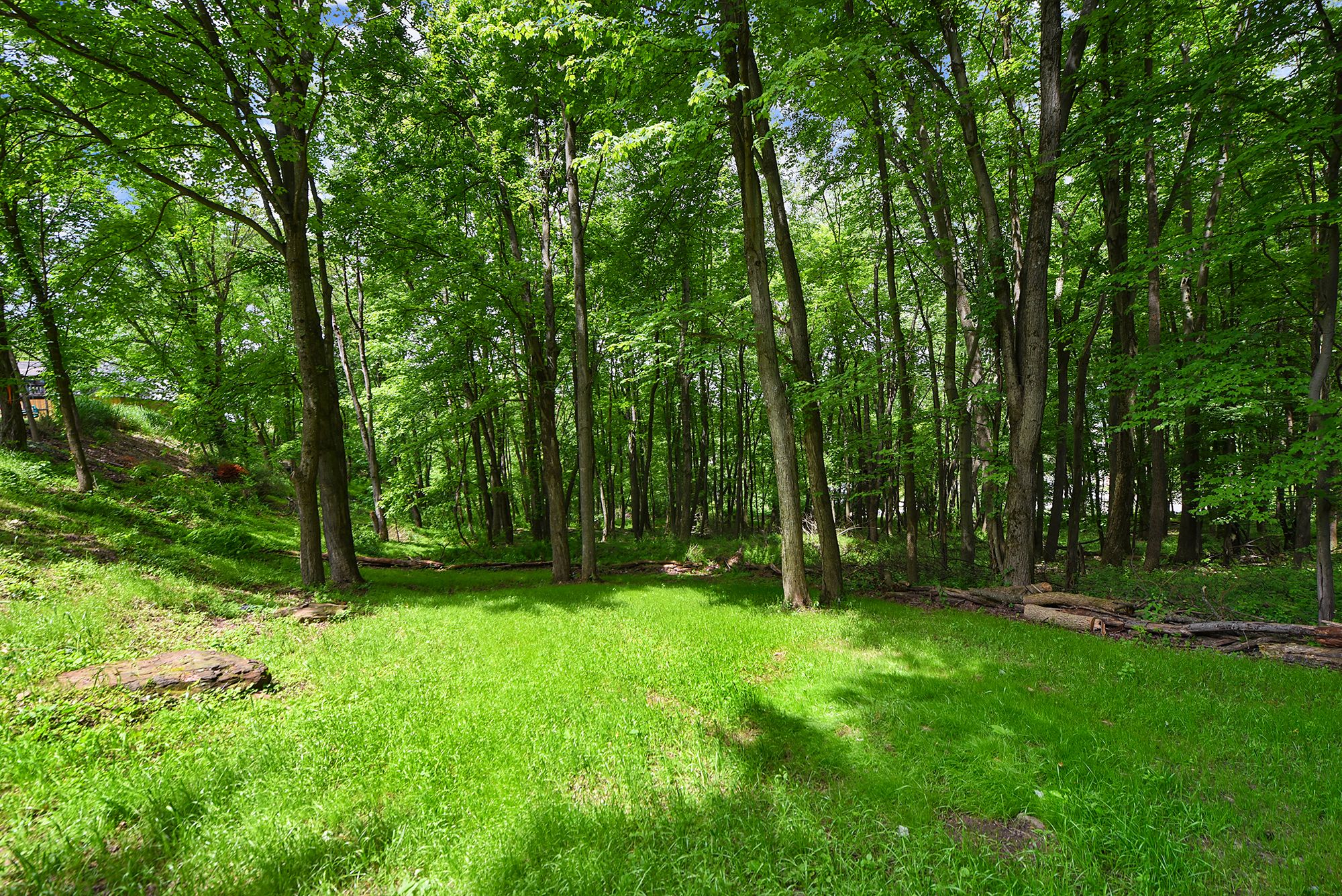  7018 Franklin Road, Seven Fields, PA 16046 - 物件實景