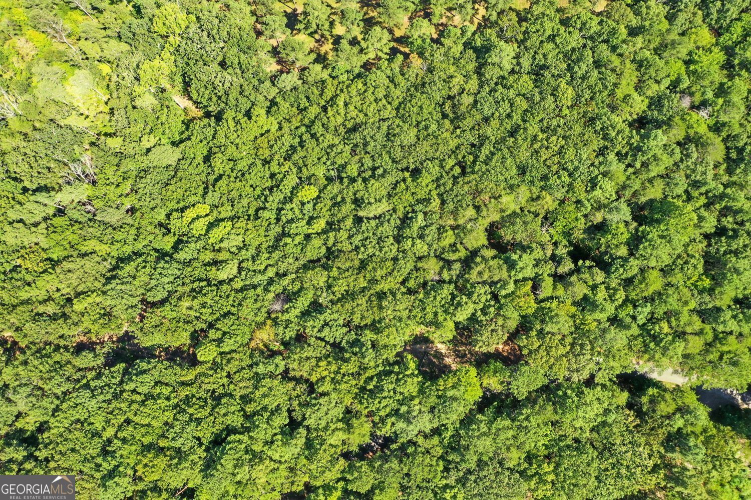 Waleska, Georgia, 30183, United States, ,Land,For Sale,1929808