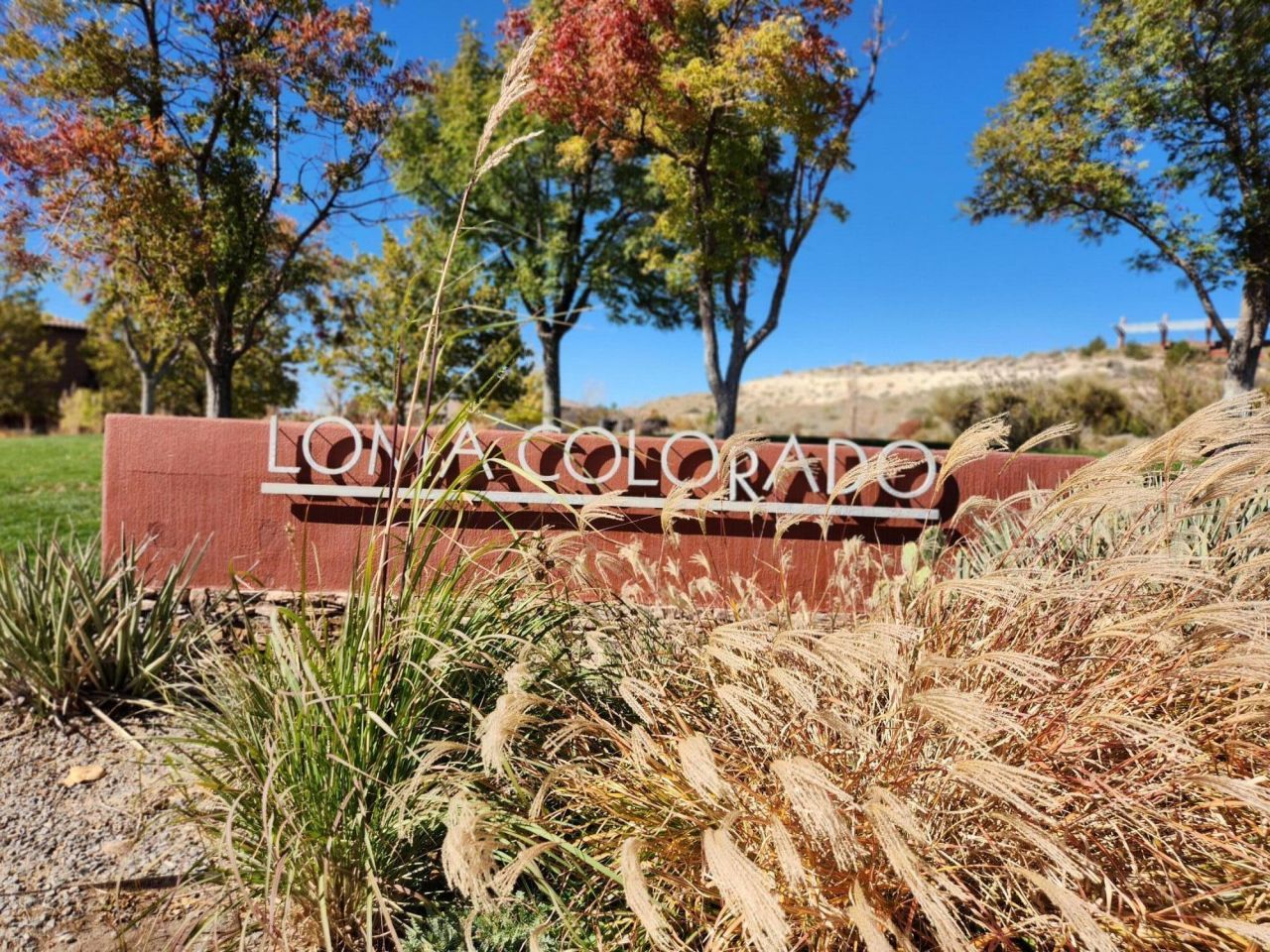 Rio Rancho, New Mexico, 87124, United States, 4 Bedrooms Bedrooms, ,3 BathroomsBathrooms,Residential,For Sale,1987621