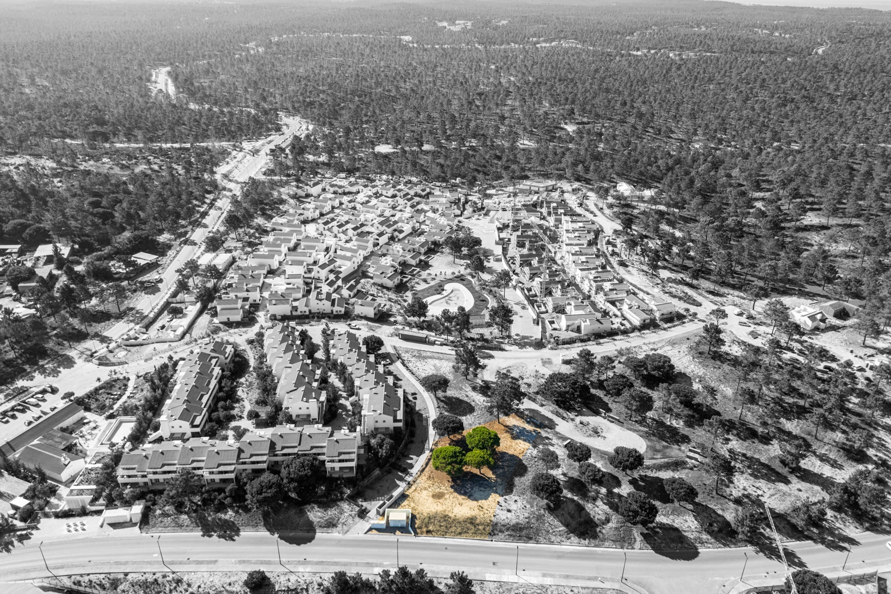  Stand for Sale - 物件實景