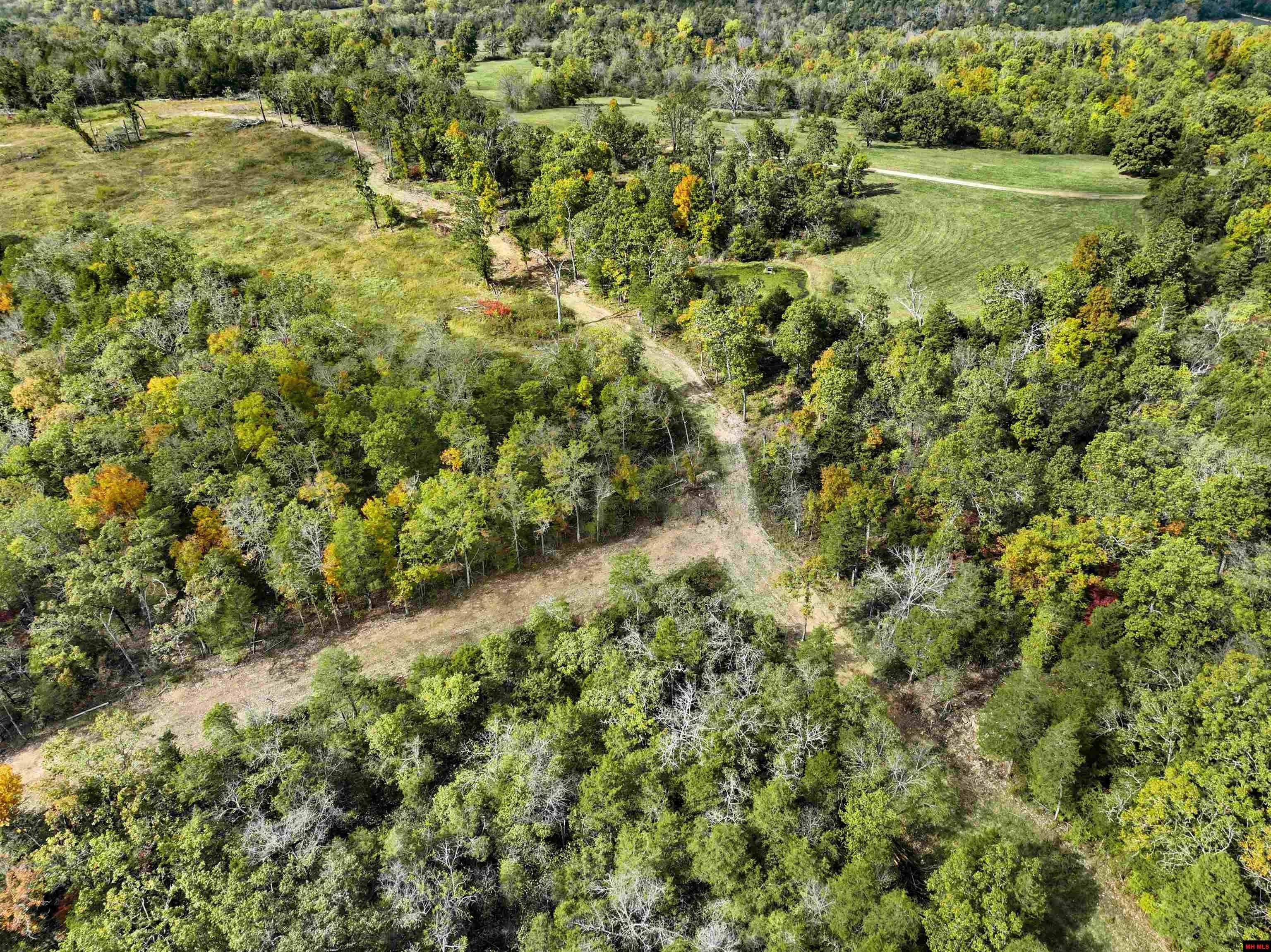 Theodosia, Missouri, 65761, United States, 3 Bedrooms Bedrooms, ,2 BathroomsBathrooms,Residential,For Sale,1986107