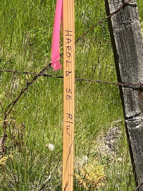 Priest River, Idaho, 83856, United States, ,Land,For Sale,2006127