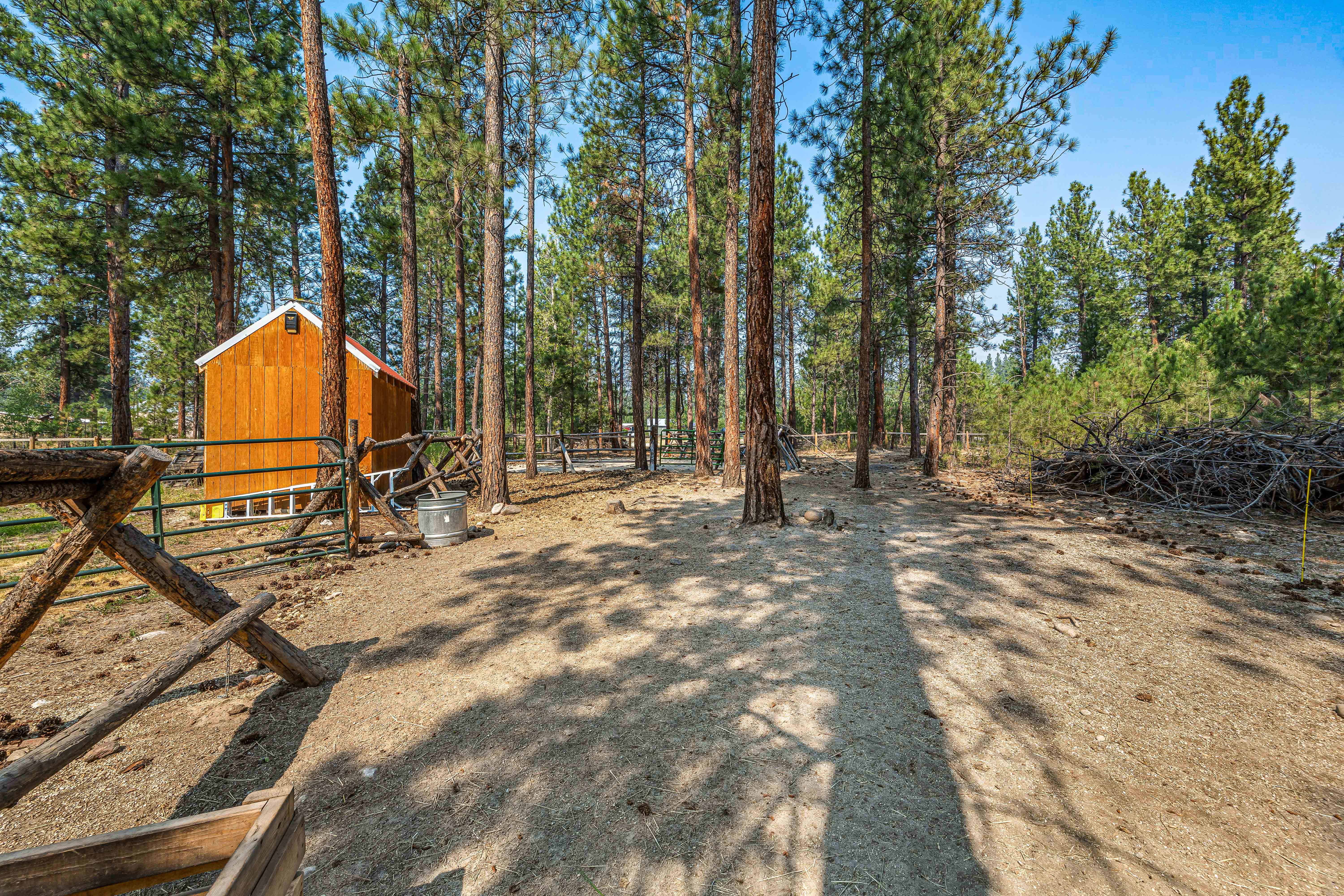 Larkspur Ln, Stevensville, MT 59870 #1