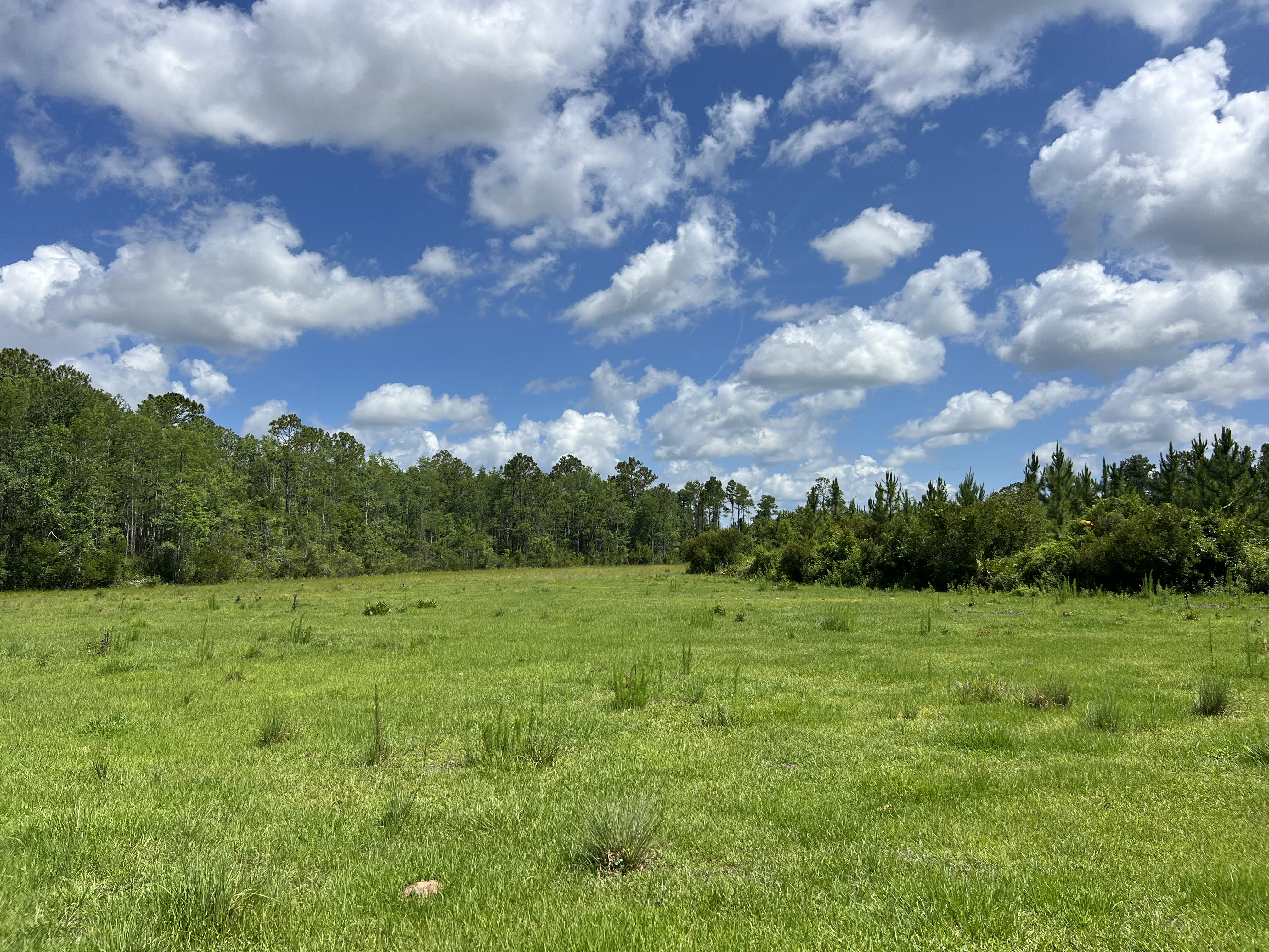 LAKE CITY, Florida, 32024, United States, ,Land,For Sale,1867172