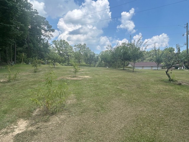 Titus, Alabama, 36080, United States, 3 Bedrooms Bedrooms, ,2 BathroomsBathrooms,Residential,For Sale,1920844