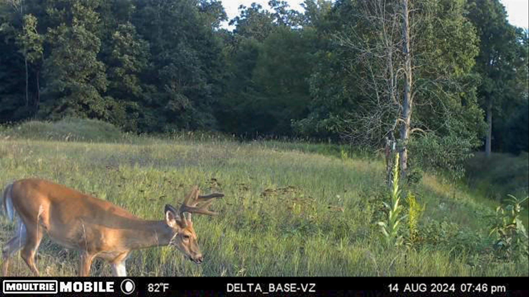 Midland, Michigan, 48640, United States, 3 Bedrooms Bedrooms, ,3 BathroomsBathrooms,Residential,For Sale,1975279