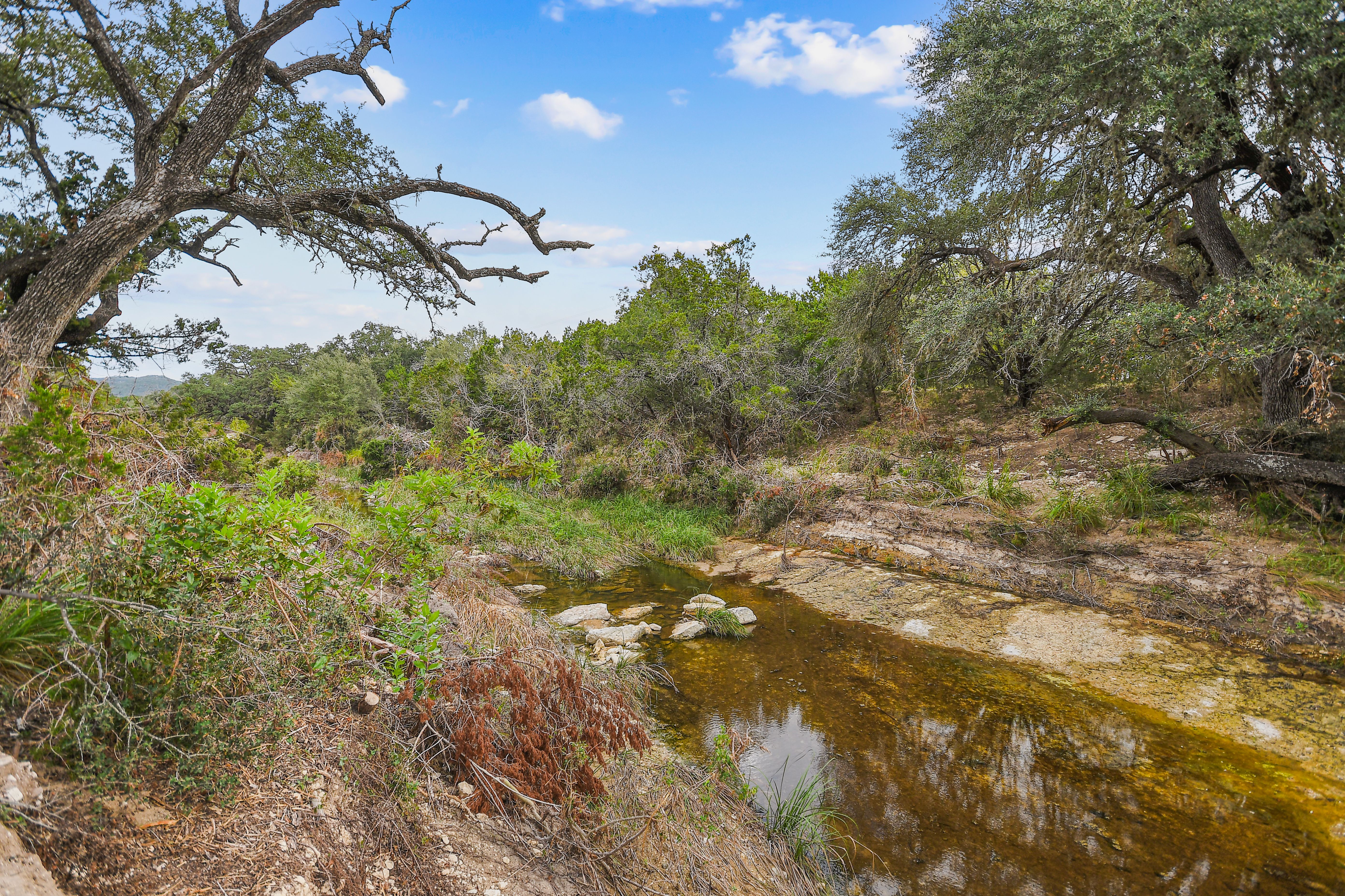  TBD Hwy 46 / Madrona Ranch Road, Pipe Creek, TX 78063 - 物件實景