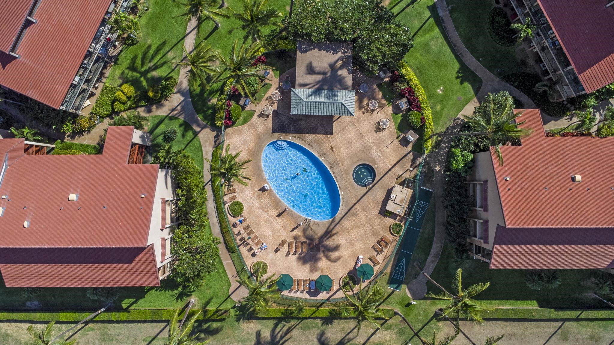 Kihei, Hawaii, 96753, United States, 1 Bedroom Bedrooms, ,1 BathroomBathrooms,Residential,For Sale,1692851