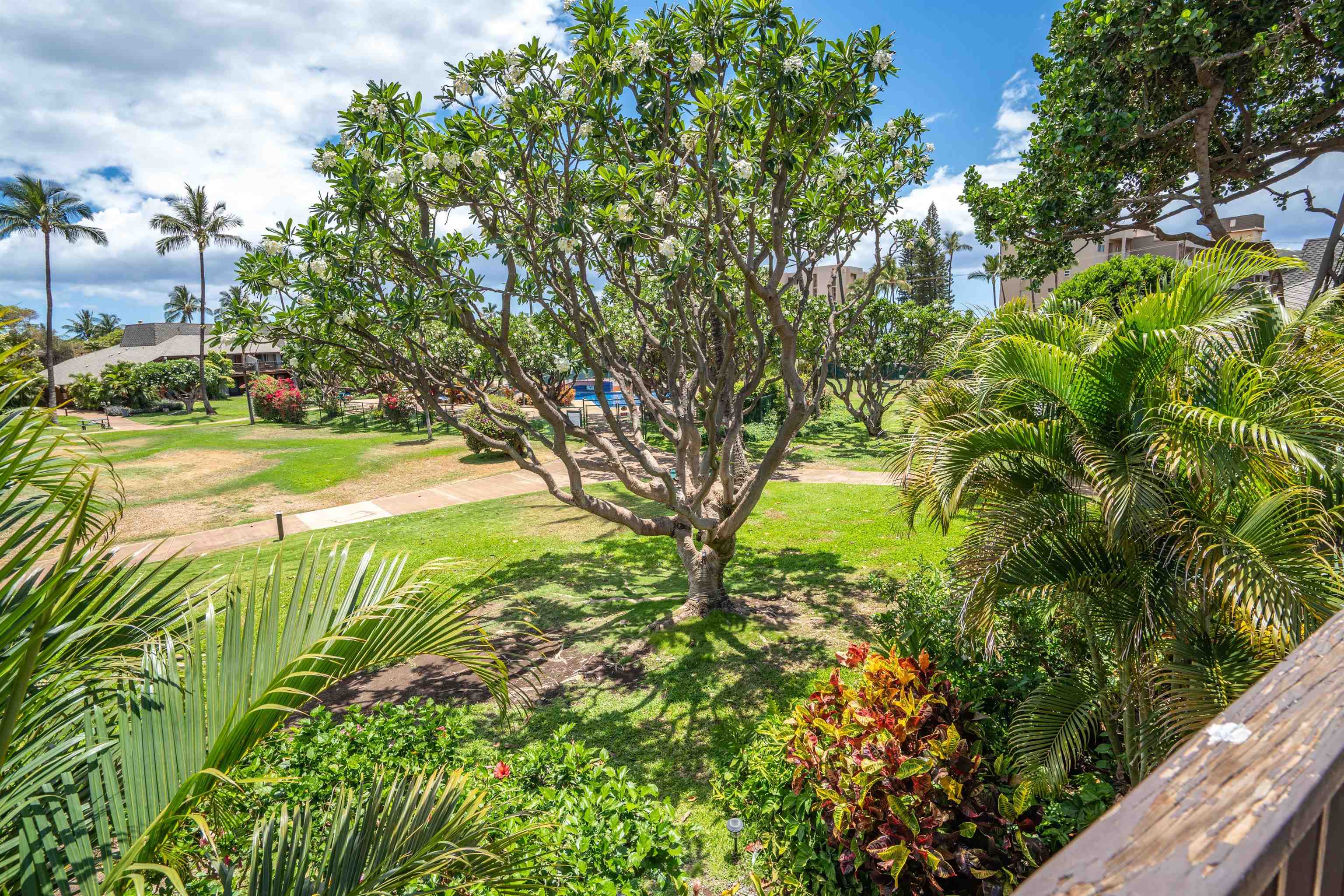 Kihei, Hawaii, 96753, United States, 3 Bedrooms Bedrooms, ,2 BathroomsBathrooms,Residential,For Sale,1848861