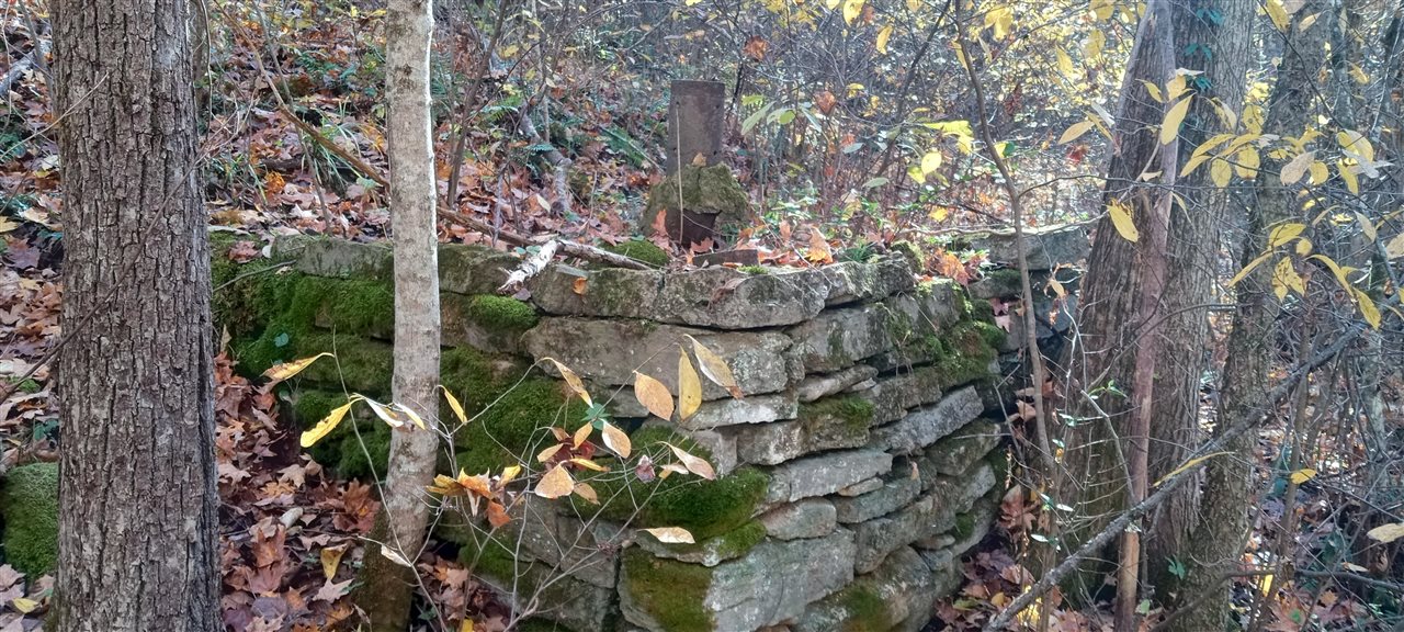 Willow Shade, Kentucky, 42166, United States, 3 Bedrooms Bedrooms, ,2 BathroomsBathrooms,Residential,For Sale,1991903