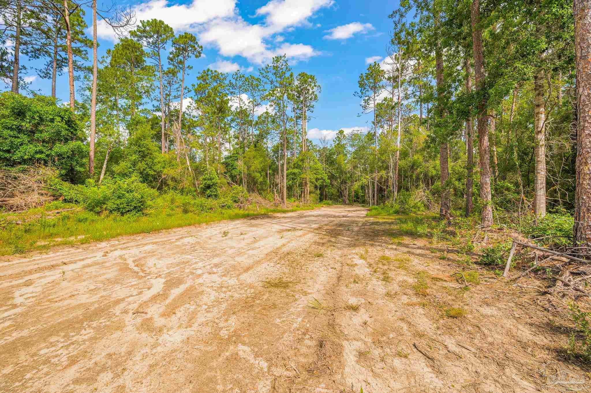 Molino, Florida, 32577, United States, 4 Bedrooms Bedrooms, ,3 BathroomsBathrooms,Residential,For Sale,1876750
