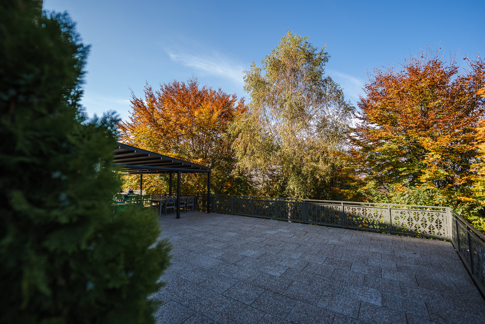  Wellness & Hospitality near Cluj-Napoca - 物件實景