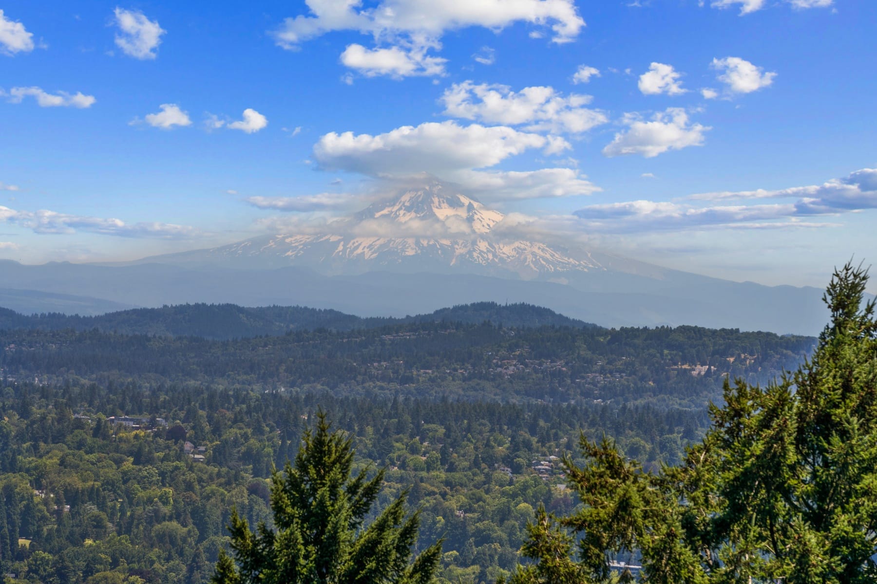  5570 SW MENEFEE DR Portland, OR 97239 - 物件實景