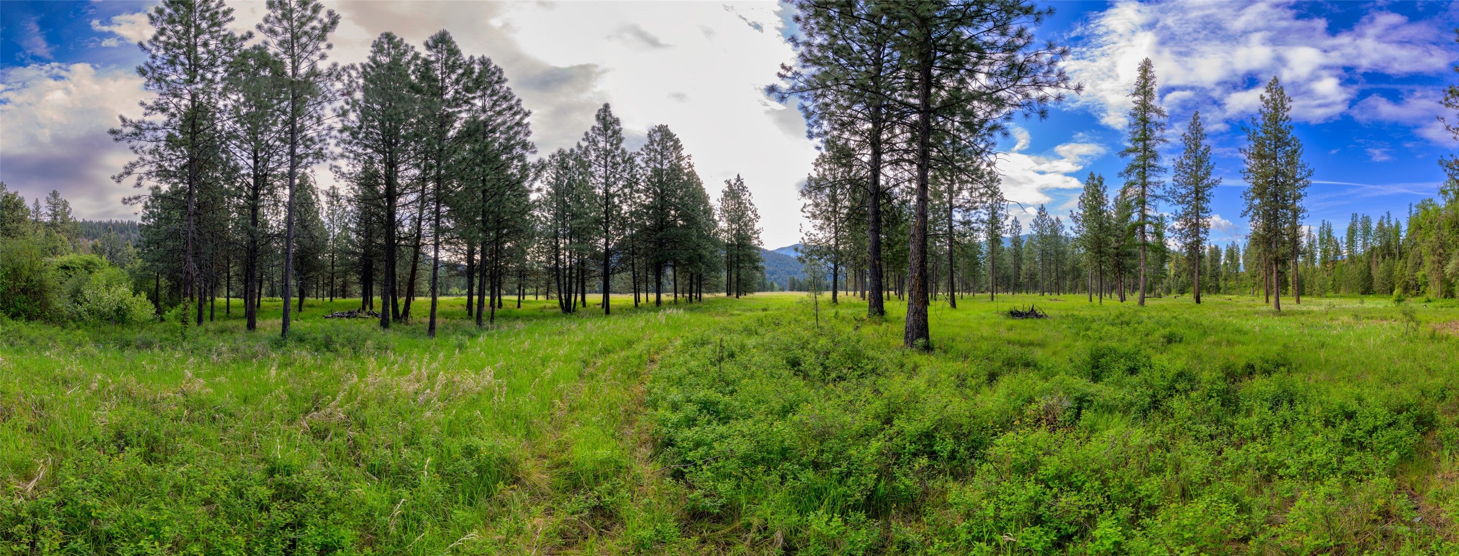 St Regis, Montana, 59866, United States, ,Land,For Sale,1848990