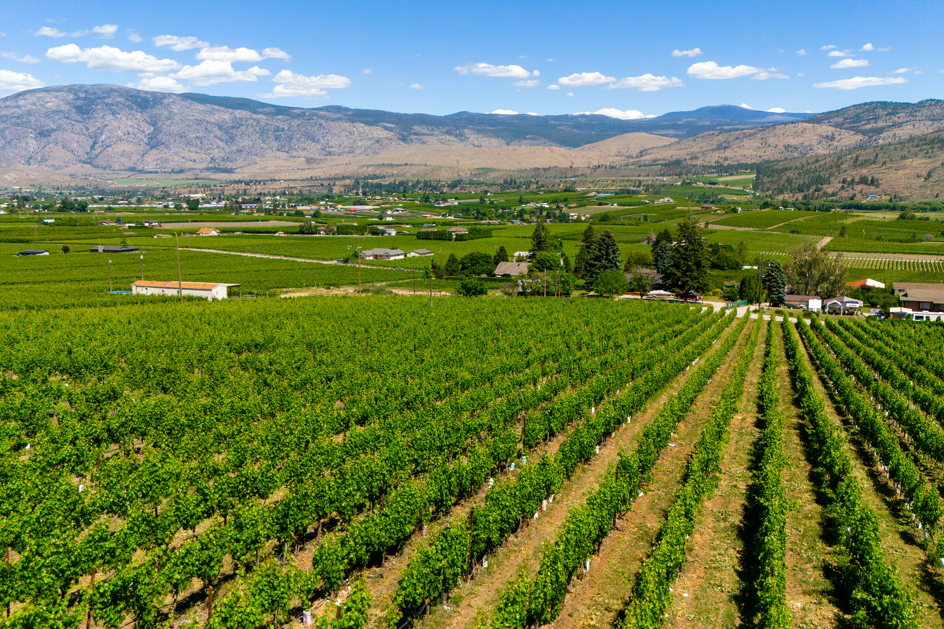  Vineyard Receivership - 物件實景