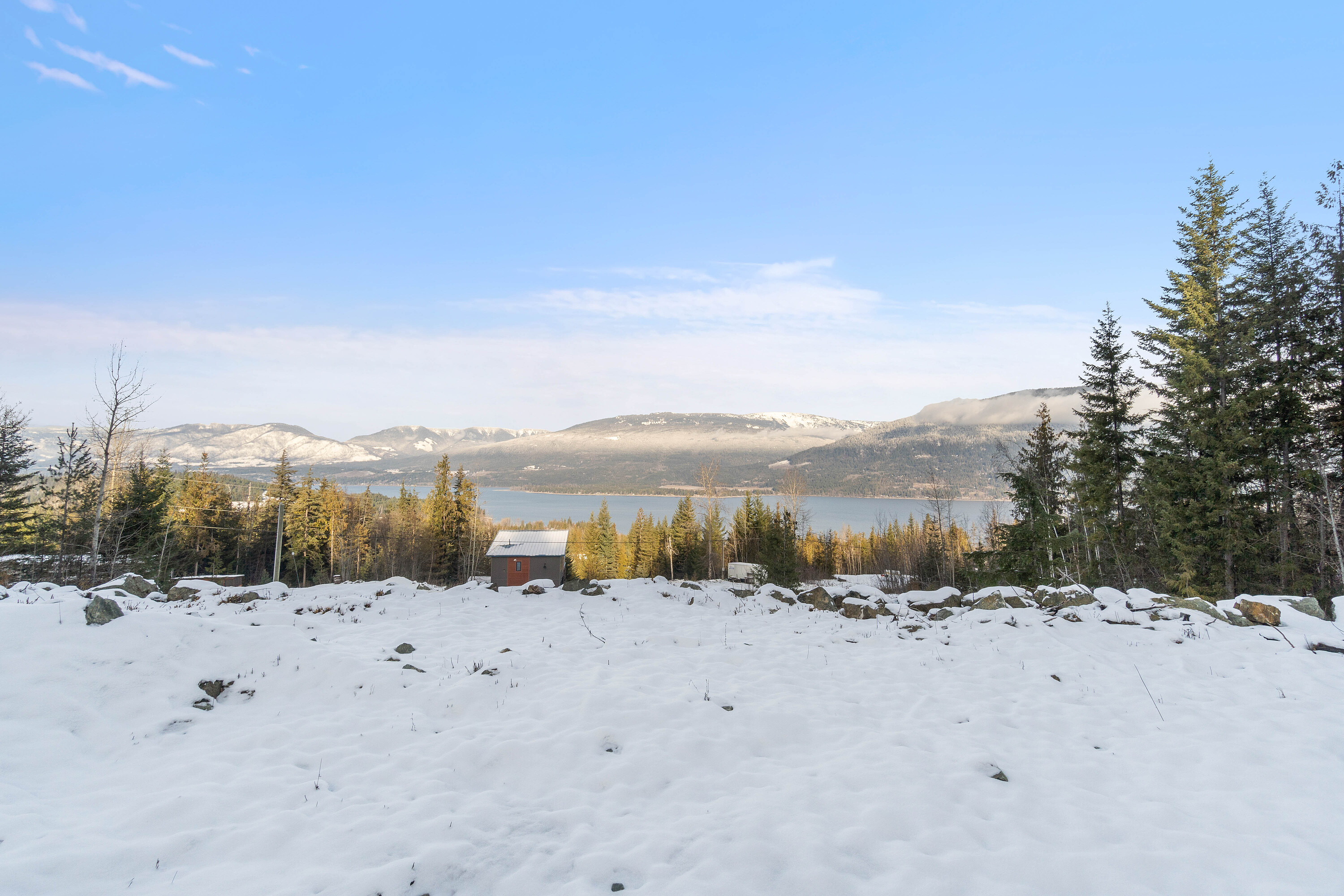  Exceptional Lakeview - 物件實景