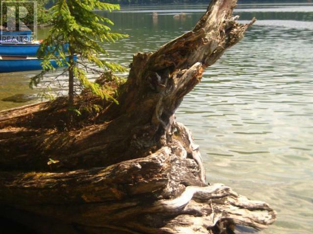 WELLS GRAY, British Columbia, V0E 1N1, CA, 1 Bedroom Bedrooms, ,1 BathroomBathrooms,Residential,For Sale,1838822