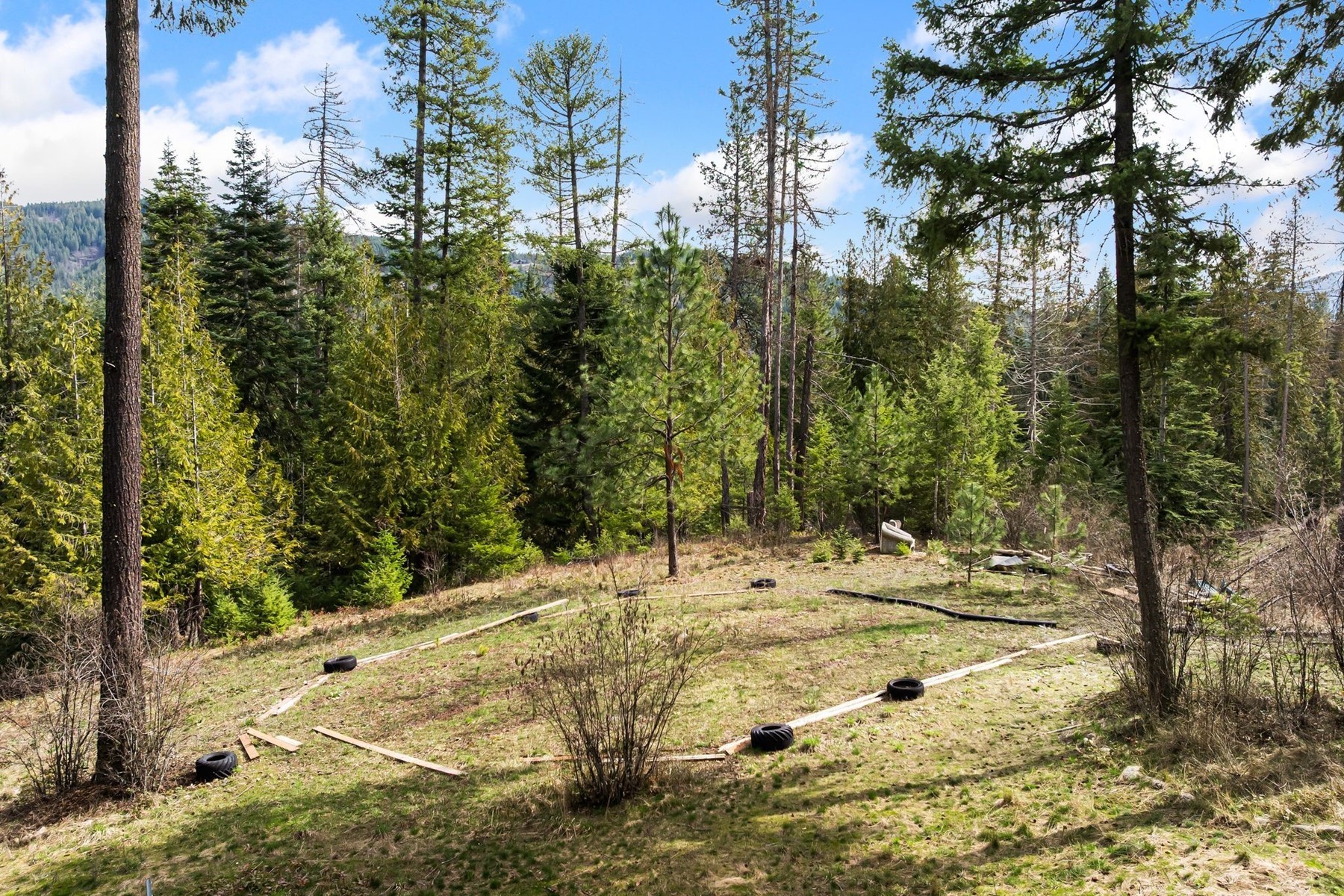  Tree Farm & Home on 6+ Acres - 物件實景