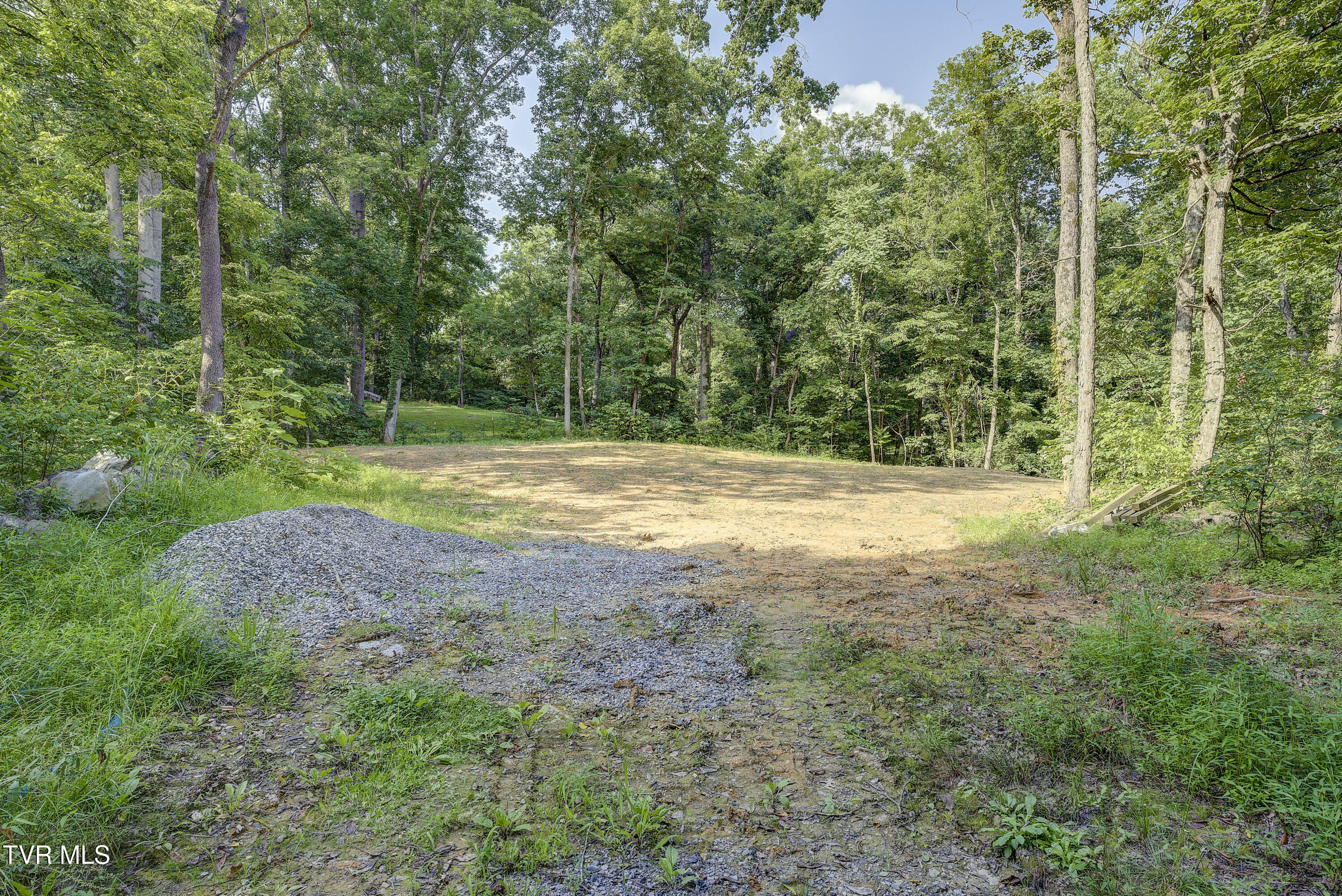 Piney Flats, Tennessee, 37686, United States, ,Land,For Sale,1983828