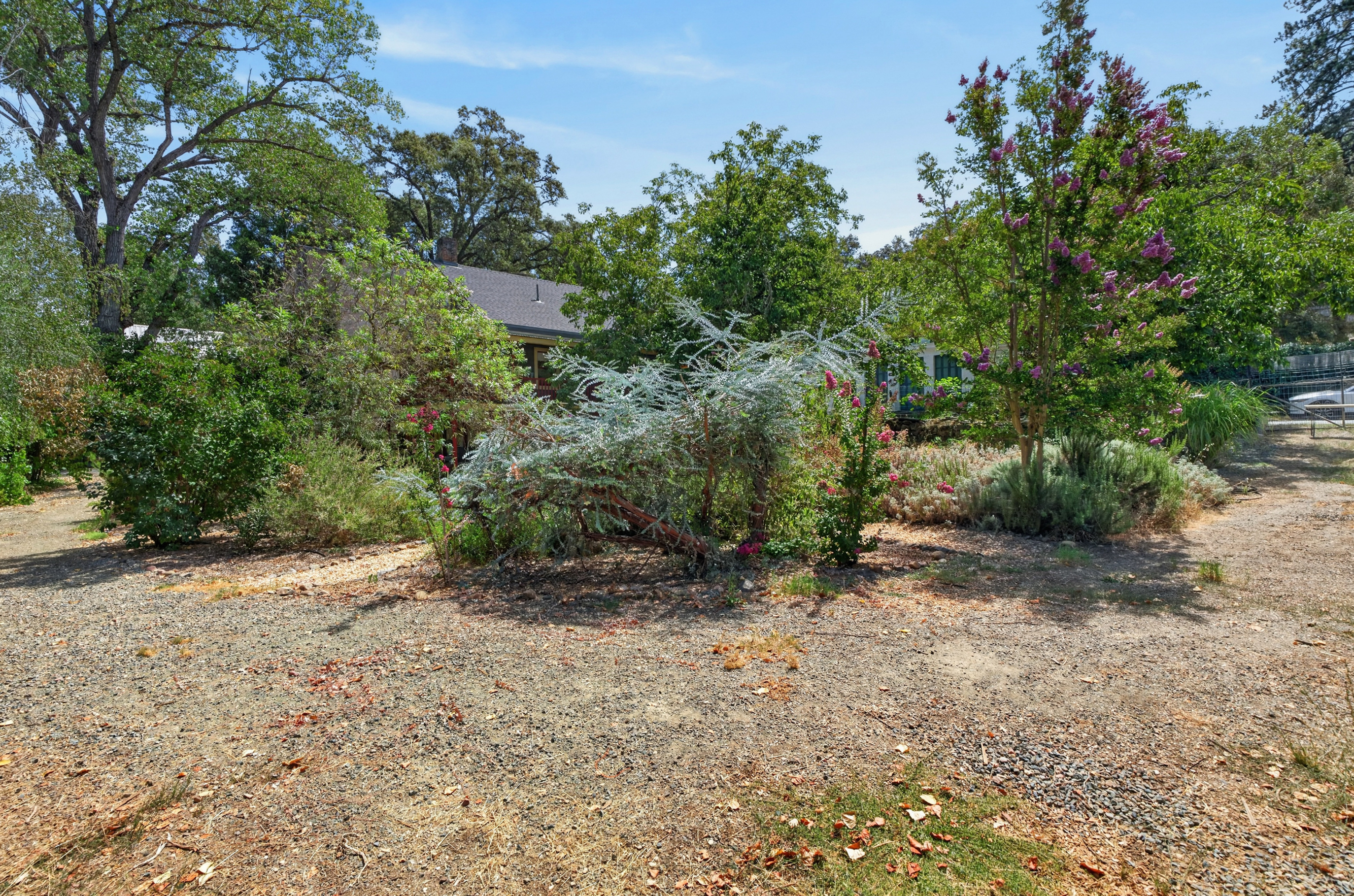  14467 Fiddletown Road, Fiddletown, CA 95629 - 物件實景