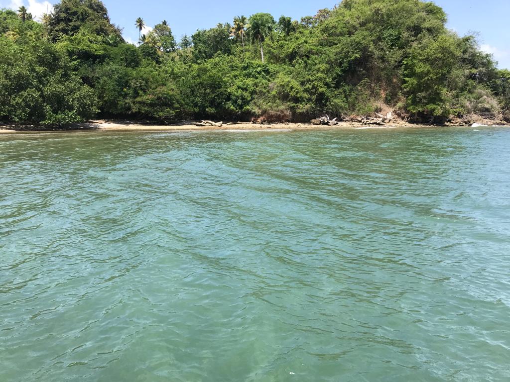 Samana, DO, ,Land,For Sale,1403639