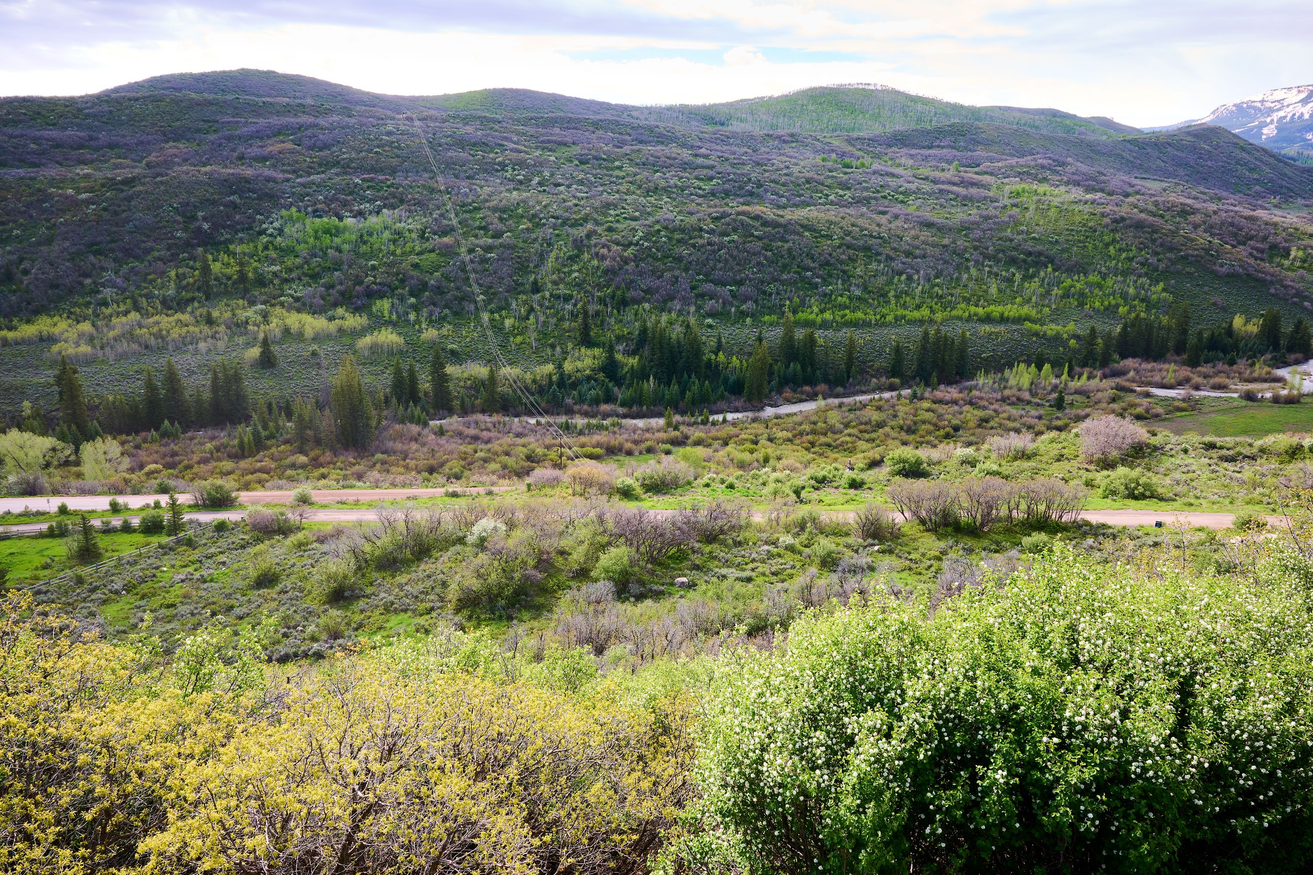 51 Shield O Road, Snowmass, CO, 81654 - 物件實景