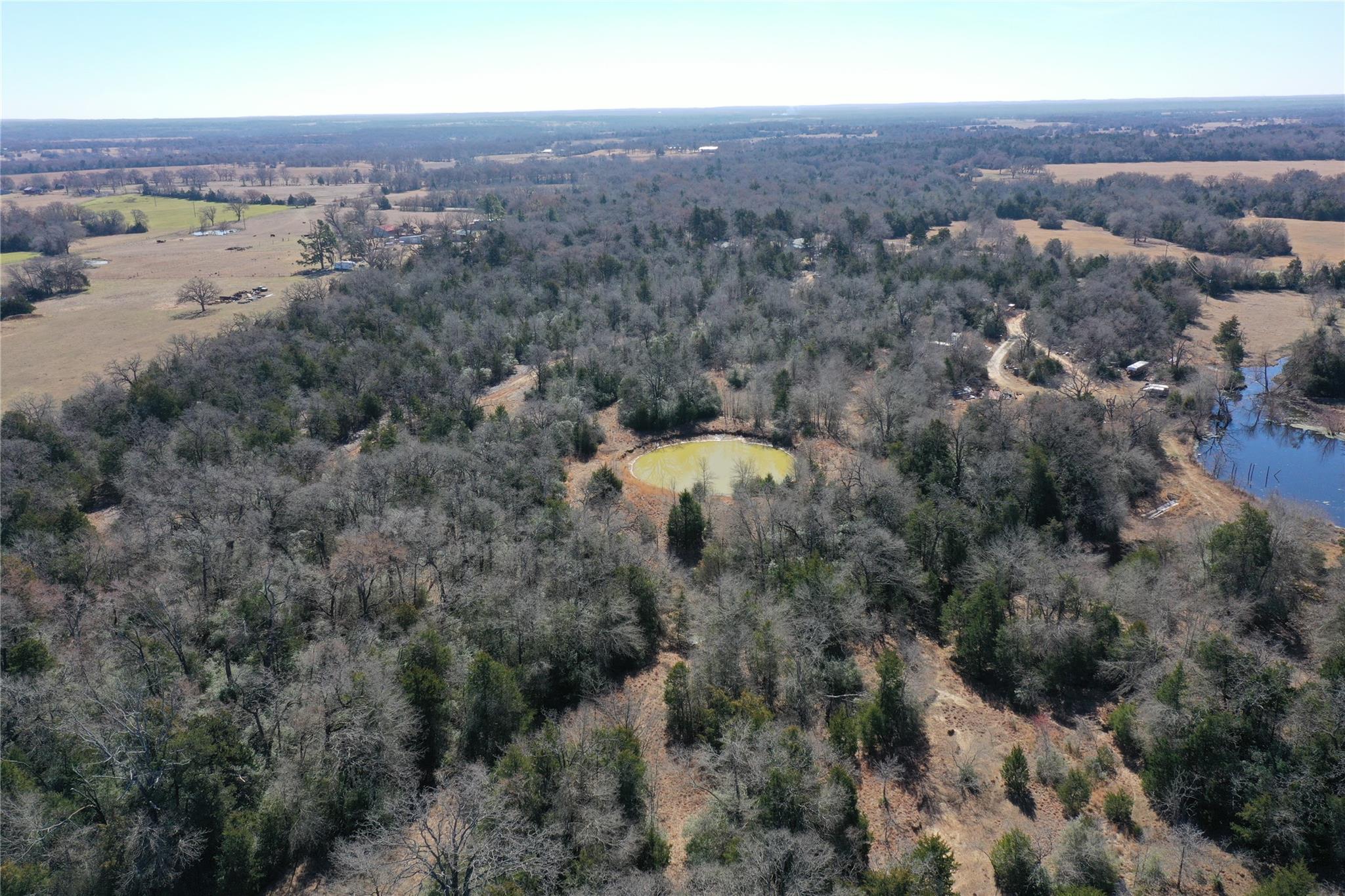 1151 Fowler Road, Bremond, Texas, 76629, United States, ,Land,For Sale,1151 Fowler Road,1621605