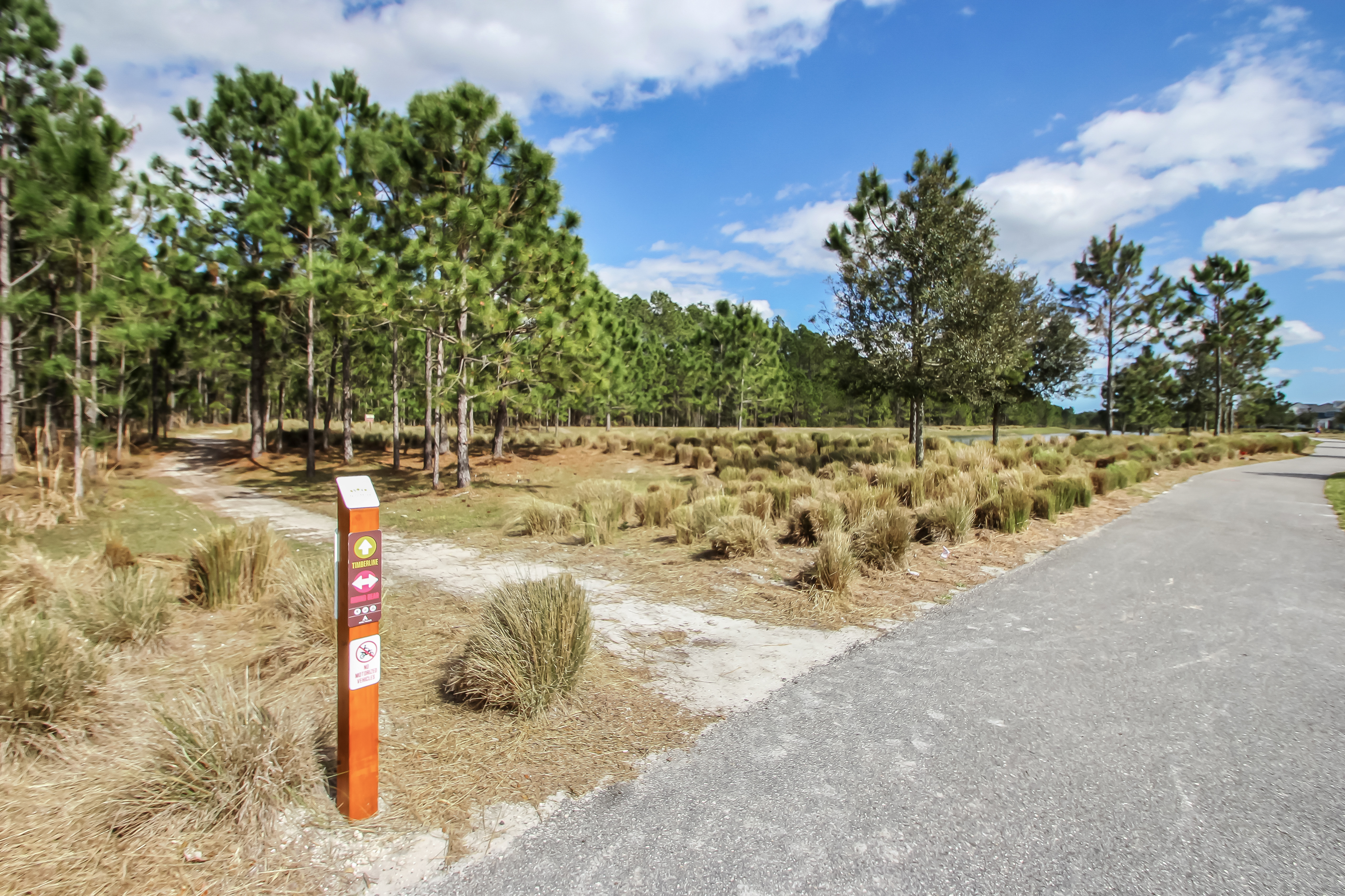  141 Linsbury Court, St. Augustine, FL, 32092 - 物件實景