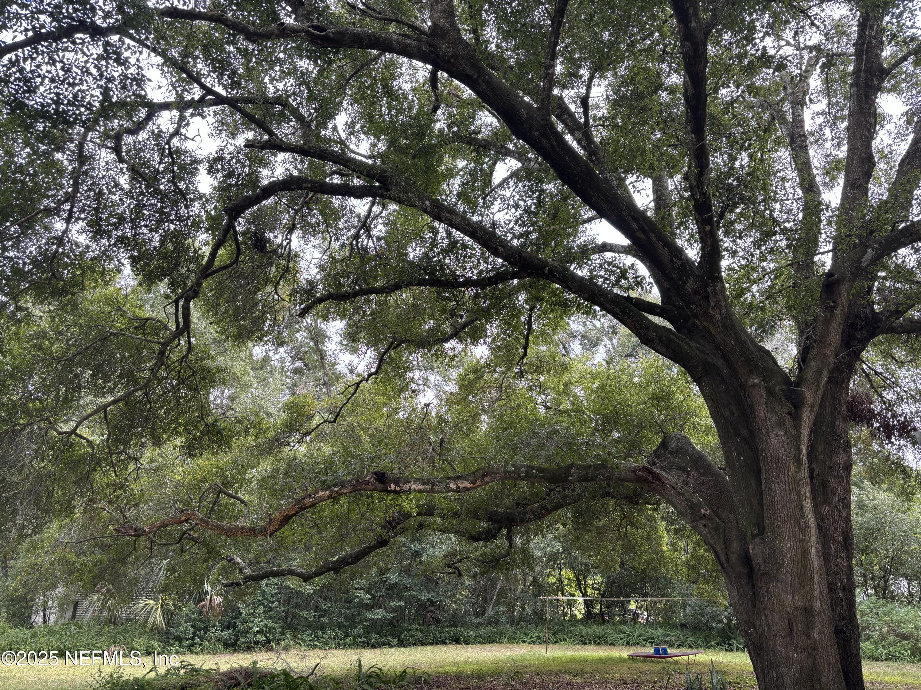 Apopka, Florida, 32712, United States, ,Land,For Sale,2002900