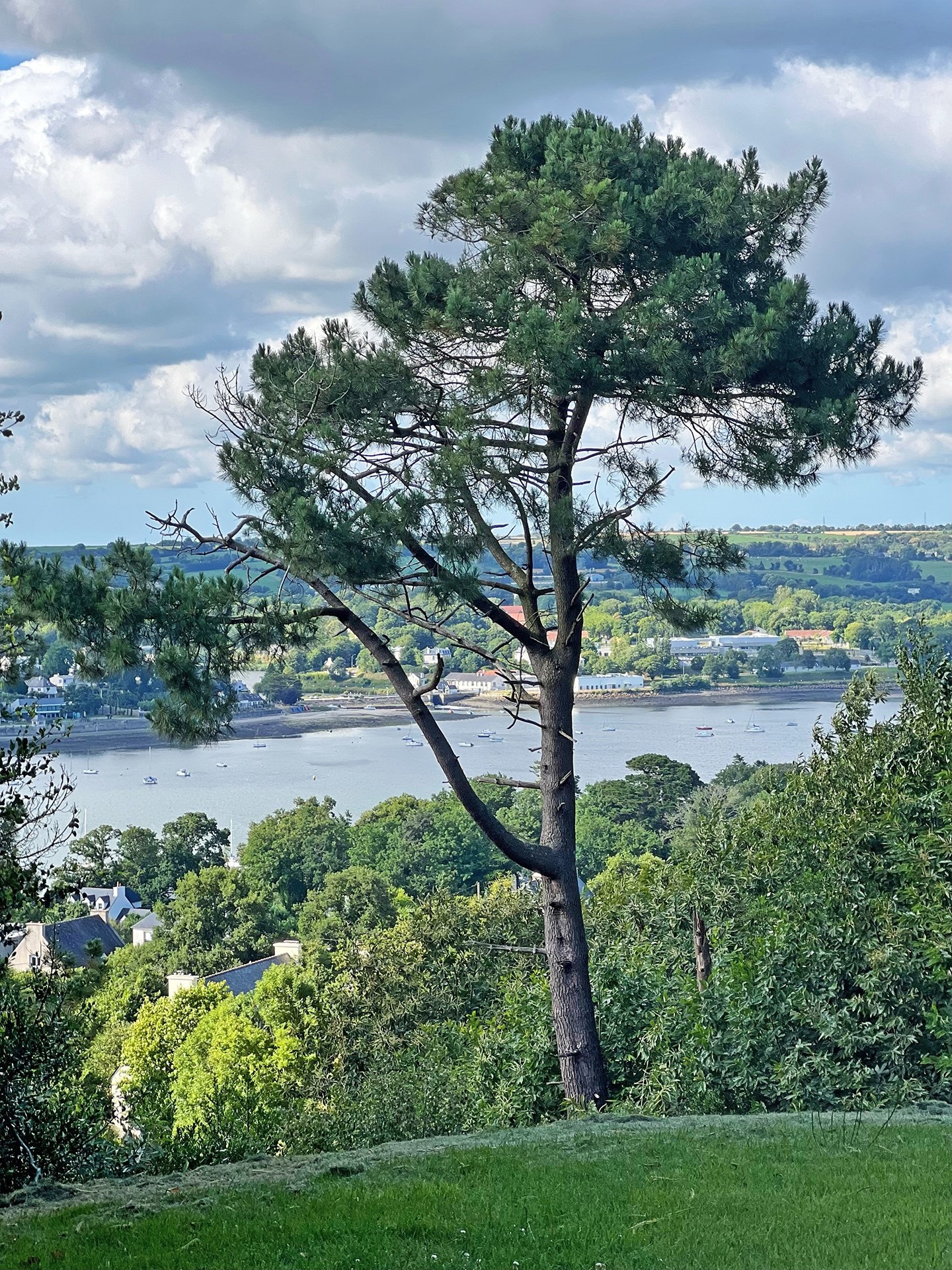  PLOUGASTEL, LARGE STONE HOUSE WITH POOL AND VIEW ON ÉLORN RIVER - 物件實景