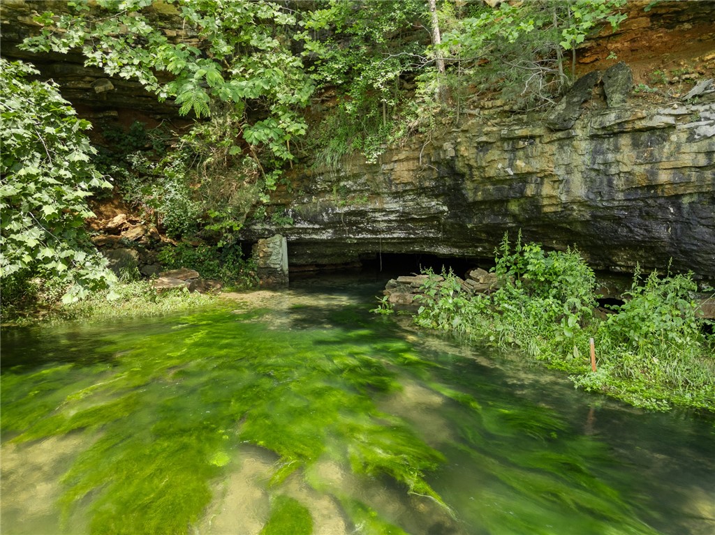 Harrison, Arkansas, 72601, United States, ,Land,For Sale,1903823