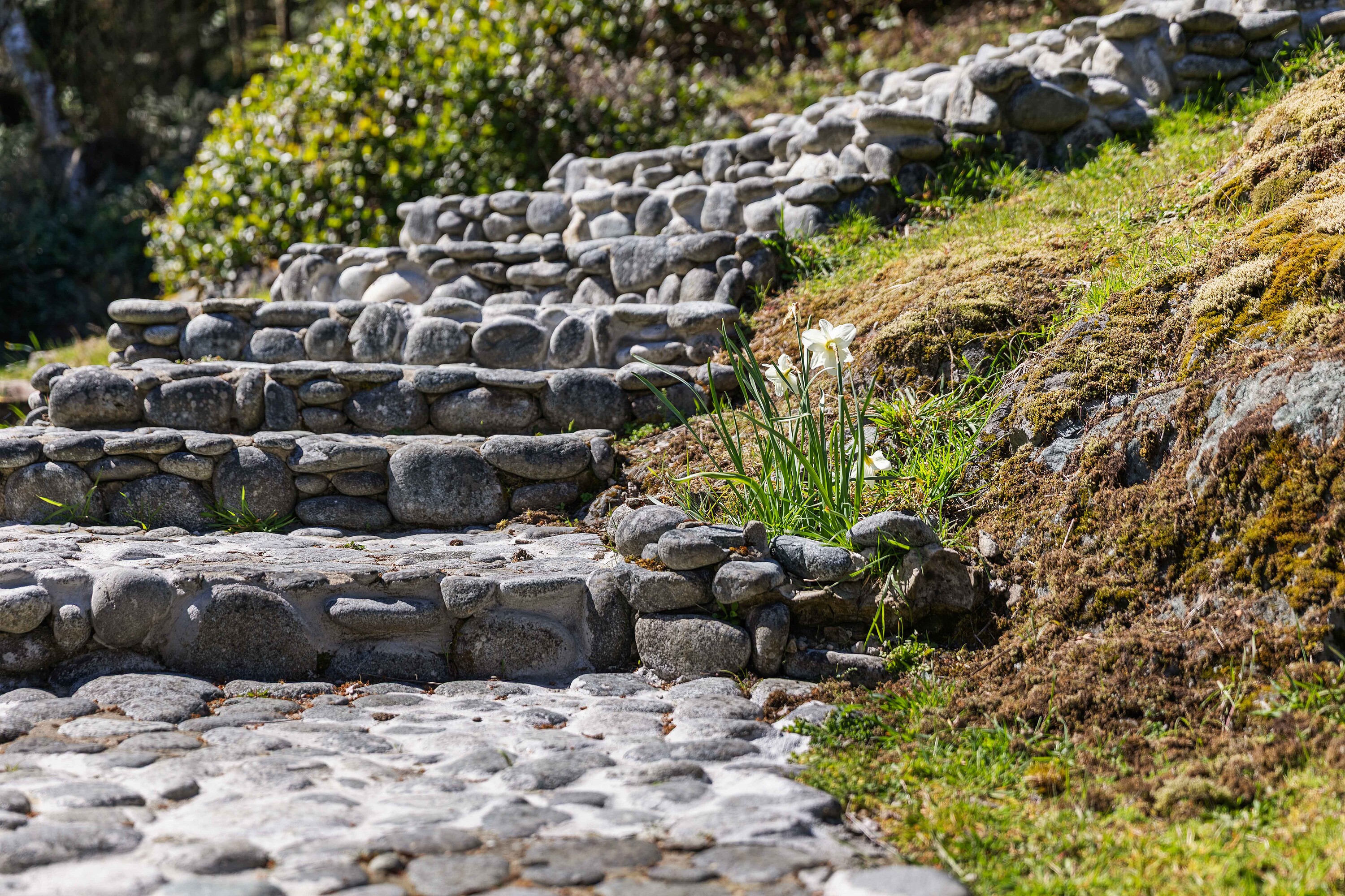  West Coast Cedar Log Home - 物件實景